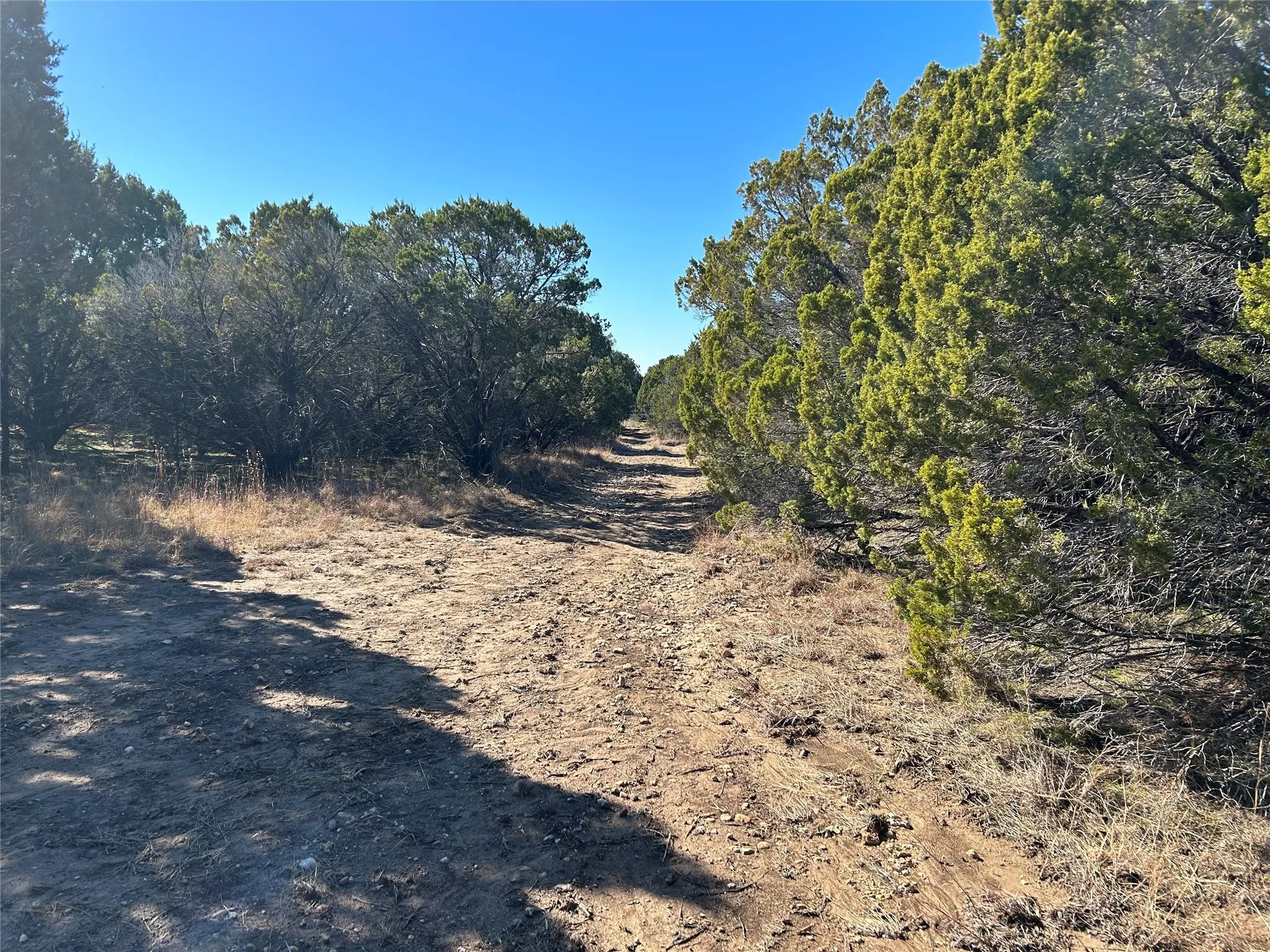 Unimproved Land For Sale in Hill County , 330 Fort Graham Road, Whitney, Texas 76692, 0, 0, Garage spaces, 0 Sqft, built in 2023, mls#20508653, Real Estate Agent in Whitney, Homes For Sale in Hill county, Homes For Sale in Whitney, Realtor in Whitney Texas, Real Estate Brokerage Independent Realty Texas, Luminita Cordes Realtor