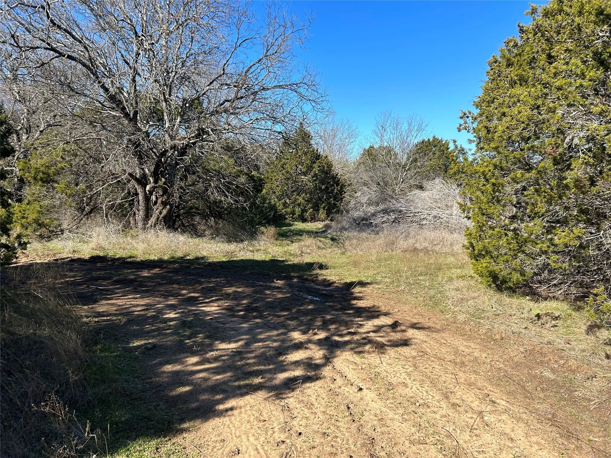 Unimproved Land For Sale in Hill County , 330 Fort Graham Road, Whitney, Texas 76692, 0, 0, Garage spaces, 0 Sqft, built in 2023, mls#20508653, Real Estate Agent in Whitney, Homes For Sale in Hill county, Homes For Sale in Whitney, Realtor in Whitney Texas, Real Estate Brokerage Independent Realty Texas, Luminita Cordes Realtor