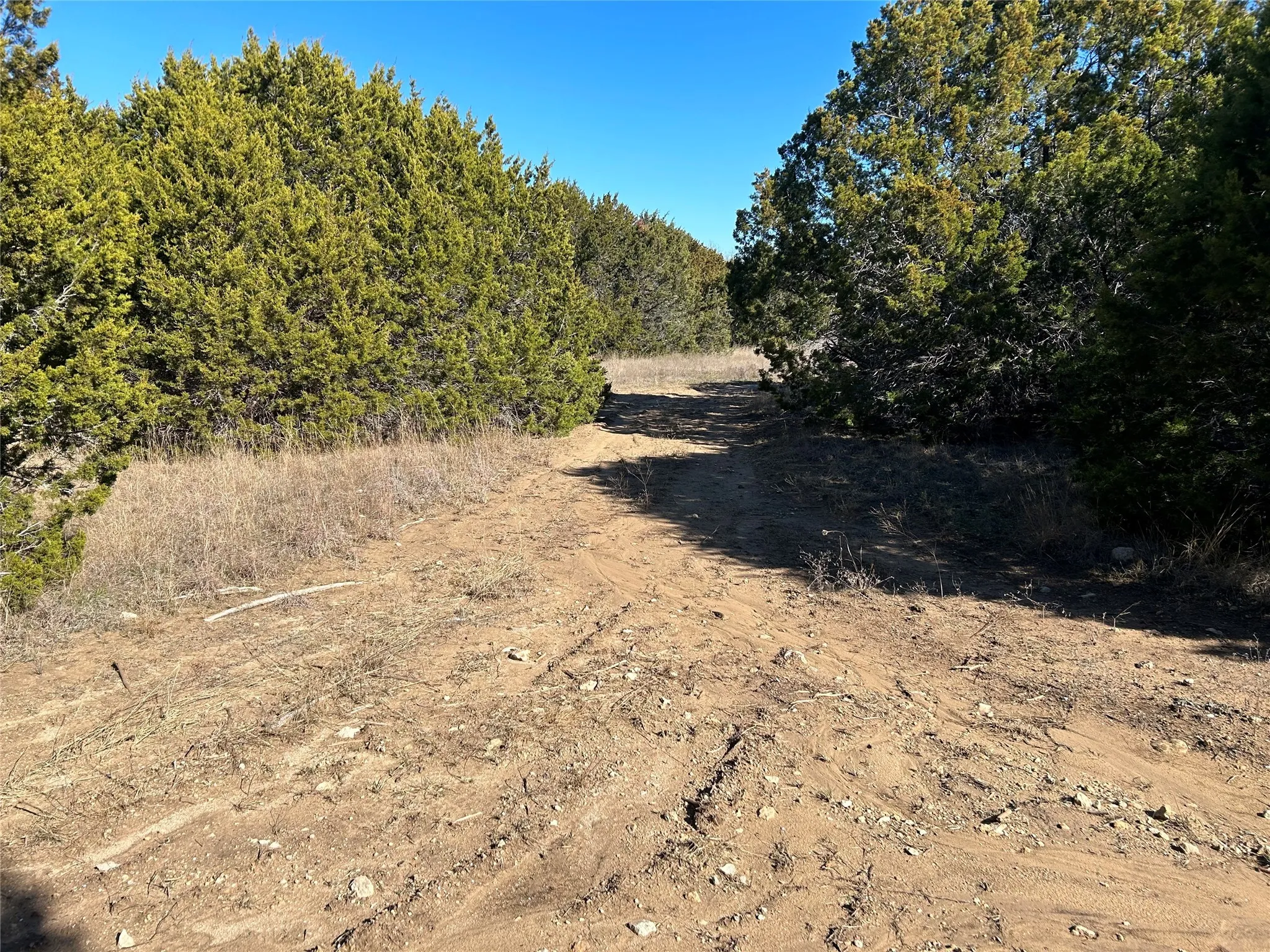Unimproved Land For Sale in Hill County , 330 Fort Graham Road, Whitney, Texas 76692, 0, 0, Garage spaces, 0 Sqft, built in 2023, mls#20508653, Real Estate Agent in Whitney, Homes For Sale in Hill county, Homes For Sale in Whitney, Realtor in Whitney Texas, Real Estate Brokerage Independent Realty Texas, Luminita Cordes Realtor