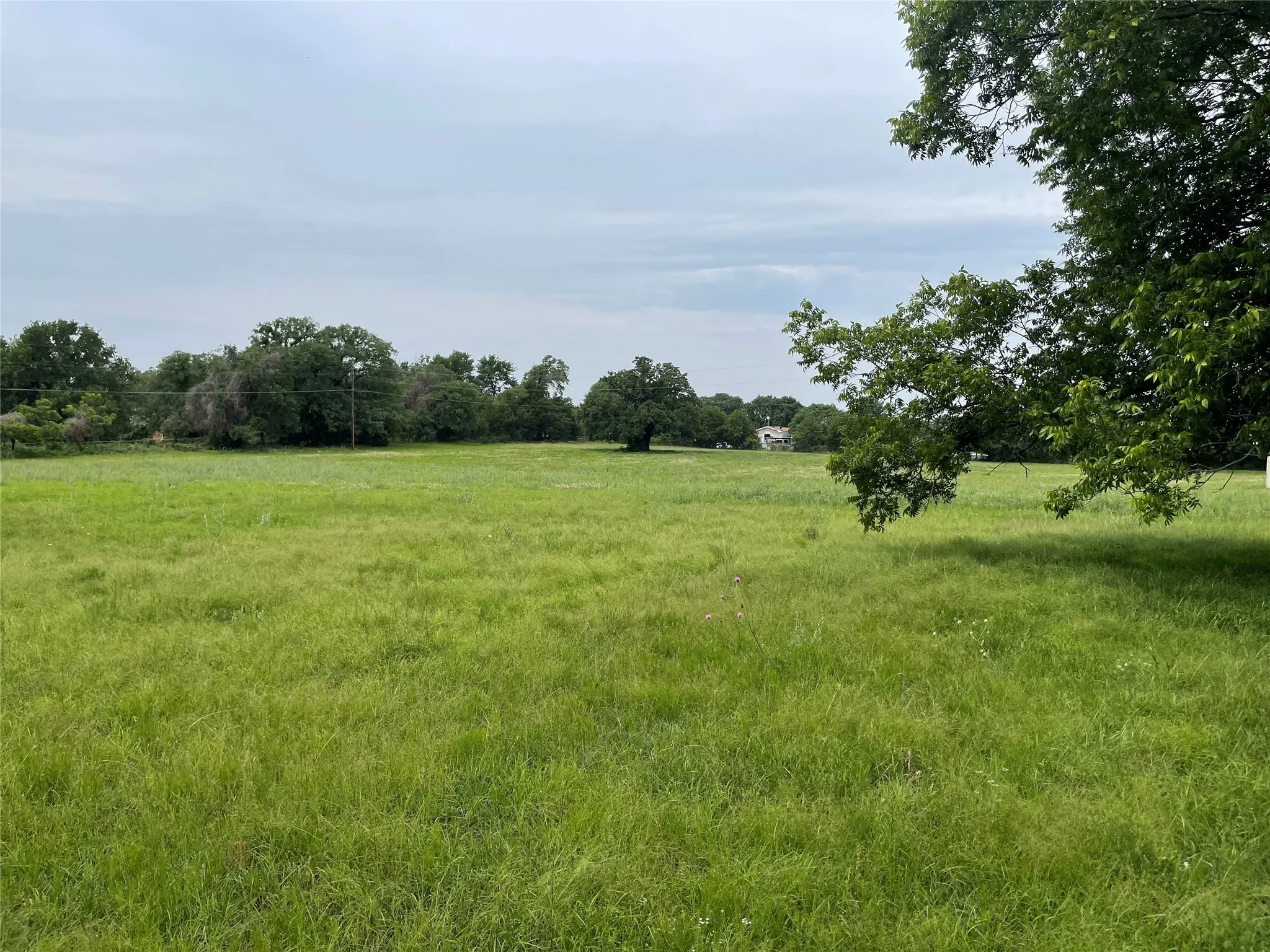Unimproved Land For Sale in Parker County , 979 East Barry Street, Reno, Texas 76020, 0, 0, Garage spaces, 0 Sqft, built in 0, mls#20514008, Real Estate Agent in Reno, Homes For Sale in Parker county, Homes For Sale in Reno, Realtor in Reno Texas, Real Estate Brokerage Independent Realty Texas, Luminita Cordes Realtor