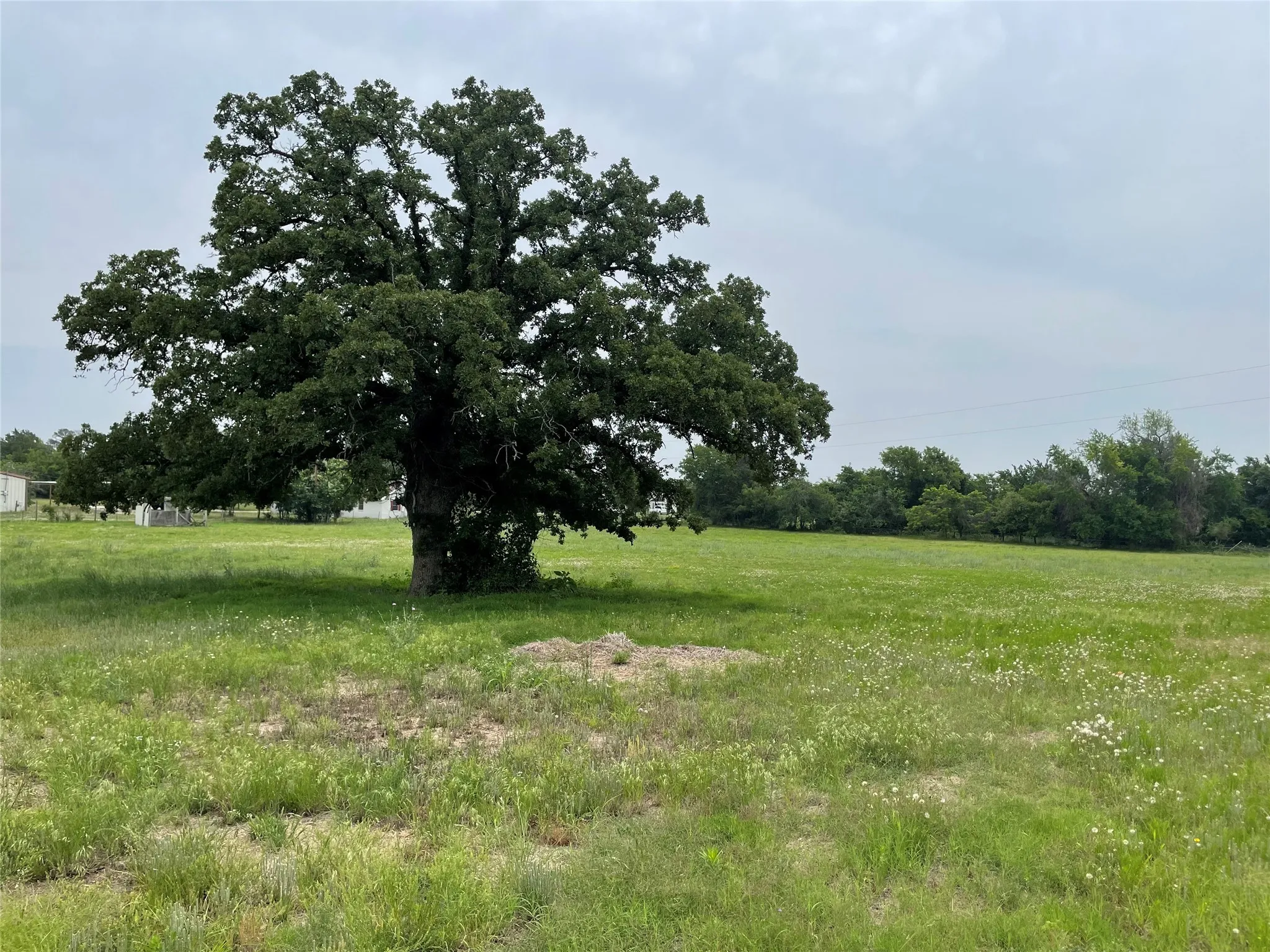 Unimproved Land For Sale in Parker County , 979 East Barry Street, Reno, Texas 76020, 0, 0, Garage spaces, 0 Sqft, built in 0, mls#20514008, Real Estate Agent in Reno, Homes For Sale in Parker county, Homes For Sale in Reno, Realtor in Reno Texas, Real Estate Brokerage Independent Realty Texas, Luminita Cordes Realtor