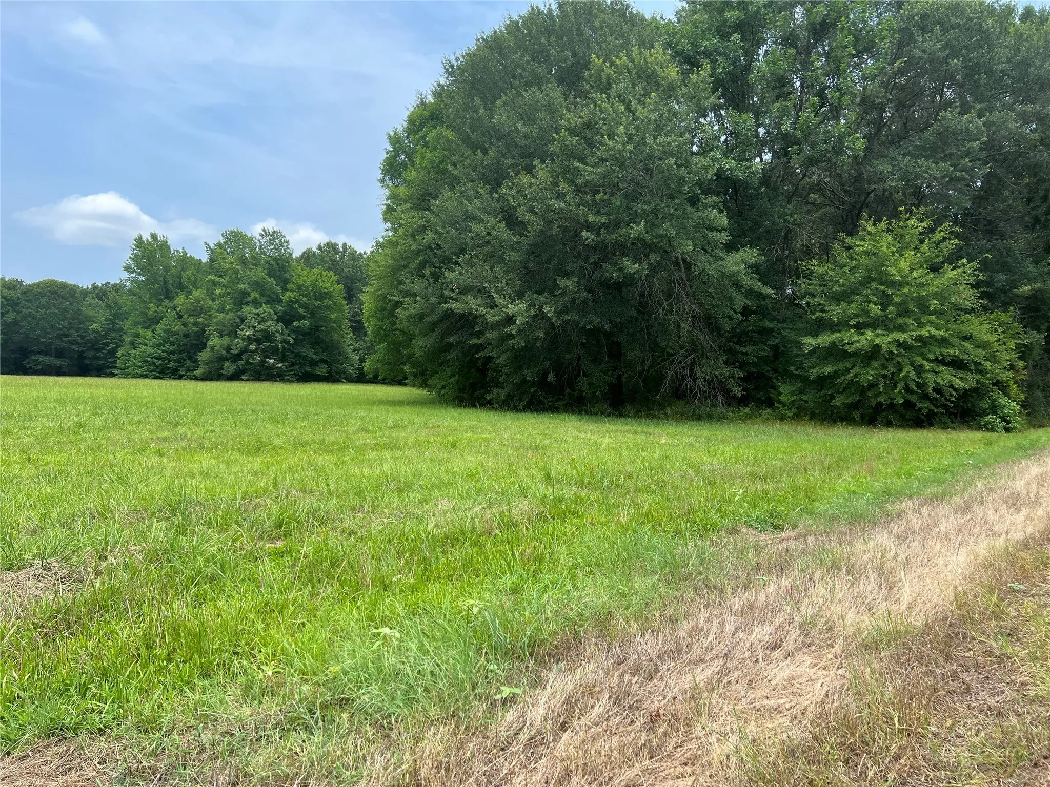 Unimproved Land For Sale in Franklin (TX) County , TBD CR 4130, Mount Vernon, Texas 75457, 0, 0, Garage spaces, 0 Sqft, built in 0, mls#20523462, Real Estate Agent in Mount Vernon, Homes For Sale in Franklin (TX) county, Homes For Sale in Mount Vernon, Realtor in Mount Vernon Texas, Real Estate Brokerage Independent Realty Texas, Luminita Cordes Realtor