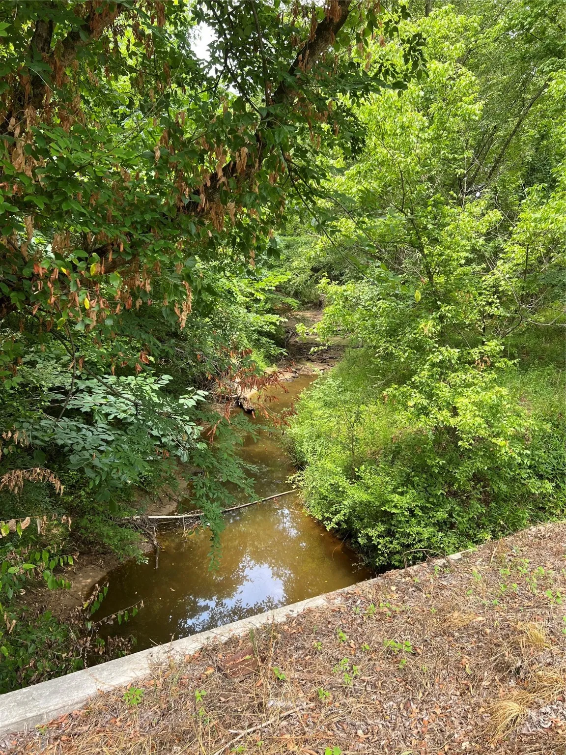 Unimproved Land For Sale in Franklin (TX) County , TBD CR 4130, Mount Vernon, Texas 75457, 0, 0, Garage spaces, 0 Sqft, built in 0, mls#20523462, Real Estate Agent in Mount Vernon, Homes For Sale in Franklin (TX) county, Homes For Sale in Mount Vernon, Realtor in Mount Vernon Texas, Real Estate Brokerage Independent Realty Texas, Luminita Cordes Realtor