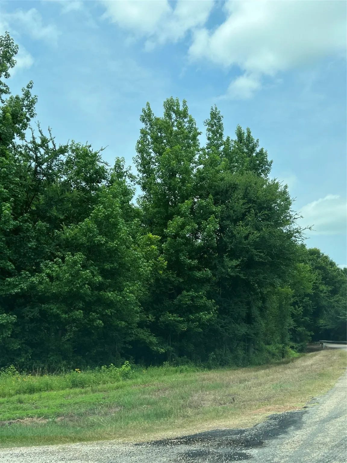 Unimproved Land For Sale in Franklin (TX) County , TBD CR 4130, Mount Vernon, Texas 75457, 0, 0, Garage spaces, 0 Sqft, built in 0, mls#20523462, Real Estate Agent in Mount Vernon, Homes For Sale in Franklin (TX) county, Homes For Sale in Mount Vernon, Realtor in Mount Vernon Texas, Real Estate Brokerage Independent Realty Texas, Luminita Cordes Realtor