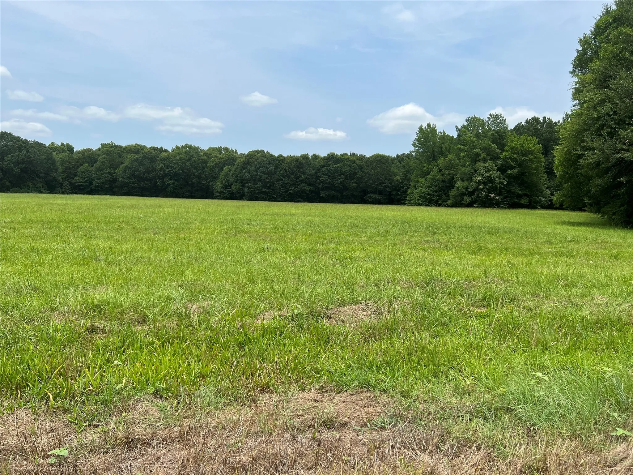 Unimproved Land For Sale in Franklin (TX) County , TBD CR 4130, Mount Vernon, Texas 75457, 0, 0, Garage spaces, 0 Sqft, built in 0, mls#20523462, Real Estate Agent in Mount Vernon, Homes For Sale in Franklin (TX) county, Homes For Sale in Mount Vernon, Realtor in Mount Vernon Texas, Real Estate Brokerage Independent Realty Texas, Luminita Cordes Realtor
