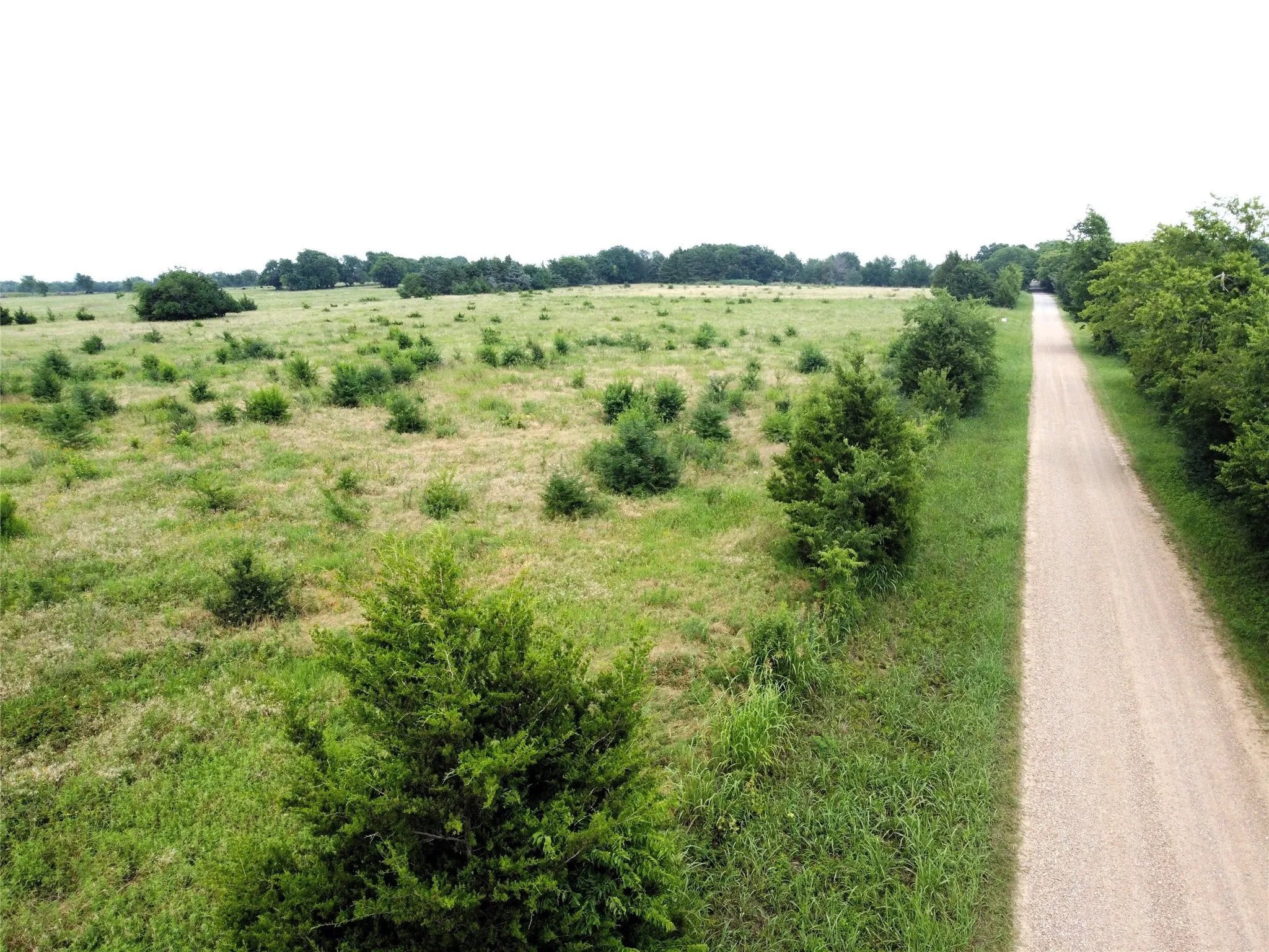 Unimproved Land For Sale in Fannin County , Lot 6 CR 1400, Ravenna, Texas 75476, 0, 0, Garage spaces, 0 Sqft, built in 0, Price $60,000, mls#20524160, Real Estate Agent in Ravenna, Homes For Sale in Fannin county, Homes For Sale in Ravenna, Realtor in Ravenna Texas, Real Estate Brokerage Independent Realty Texas, Luminita Cordes Realtor