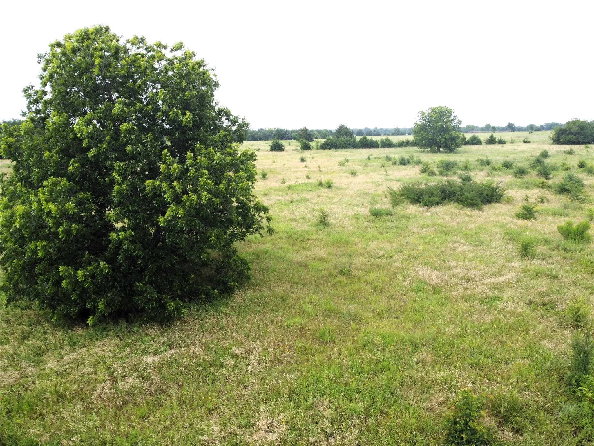Unimproved Land For Sale in Fannin County , Lot 6 CR 1400, Ravenna, Texas 75476, 0, 0, Garage spaces, 0 Sqft, built in 0, Price $60,000, mls#20524160, Real Estate Agent in Ravenna, Homes For Sale in Fannin county, Homes For Sale in Ravenna, Realtor in Ravenna Texas, Real Estate Brokerage Independent Realty Texas, Luminita Cordes Realtor