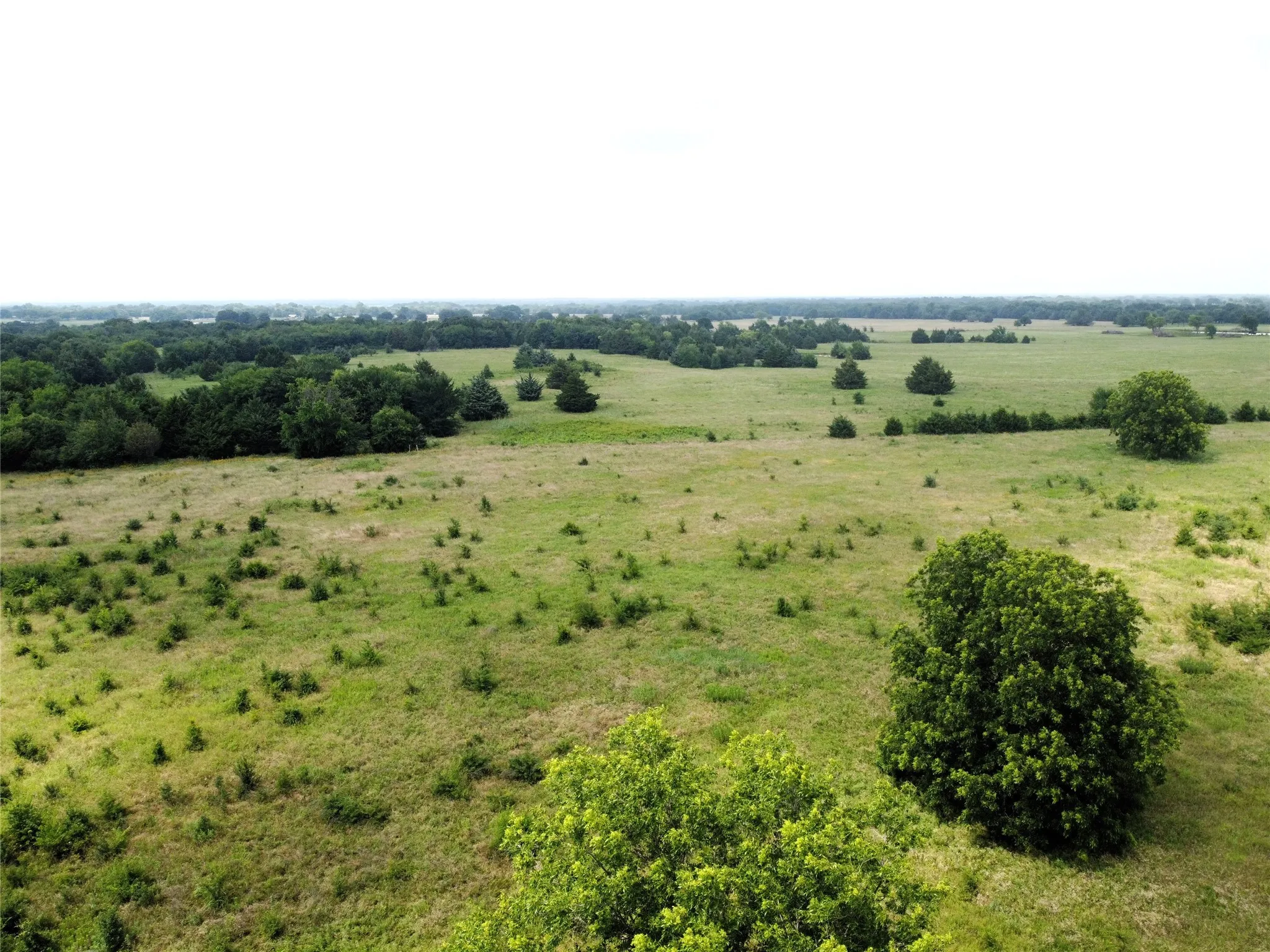 Unimproved Land For Sale in Fannin County , Lot 6 CR 1400, Ravenna, Texas 75476, 0, 0, Garage spaces, 0 Sqft, built in 0, Price $60,000, mls#20524160, Real Estate Agent in Ravenna, Homes For Sale in Fannin county, Homes For Sale in Ravenna, Realtor in Ravenna Texas, Real Estate Brokerage Independent Realty Texas, Luminita Cordes Realtor