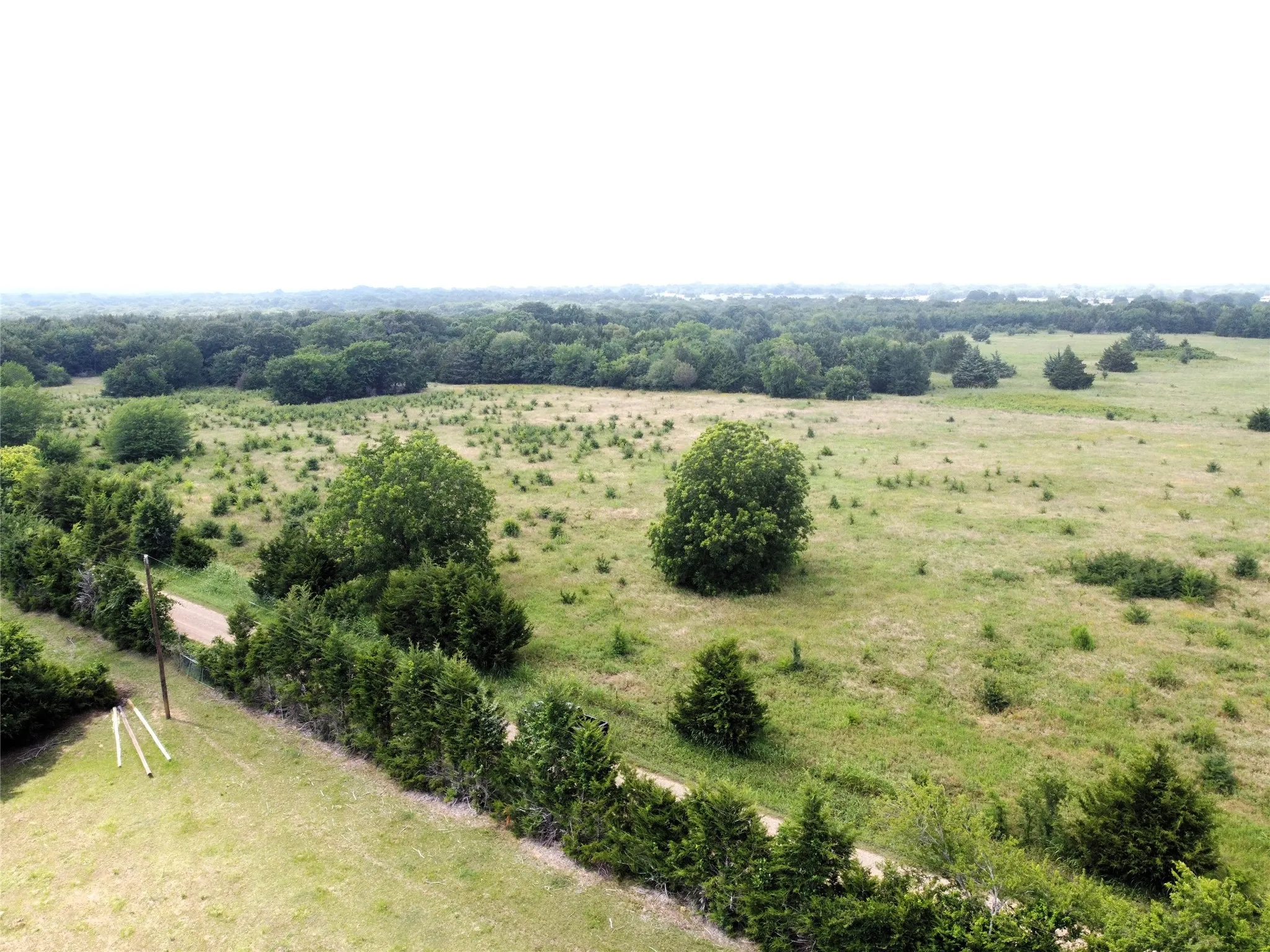 Unimproved Land For Sale in Fannin County , Lot 6 CR 1400, Ravenna, Texas 75476, 0, 0, Garage spaces, 0 Sqft, built in 0, Price $60,000, mls#20524160, Real Estate Agent in Ravenna, Homes For Sale in Fannin county, Homes For Sale in Ravenna, Realtor in Ravenna Texas, Real Estate Brokerage Independent Realty Texas, Luminita Cordes Realtor