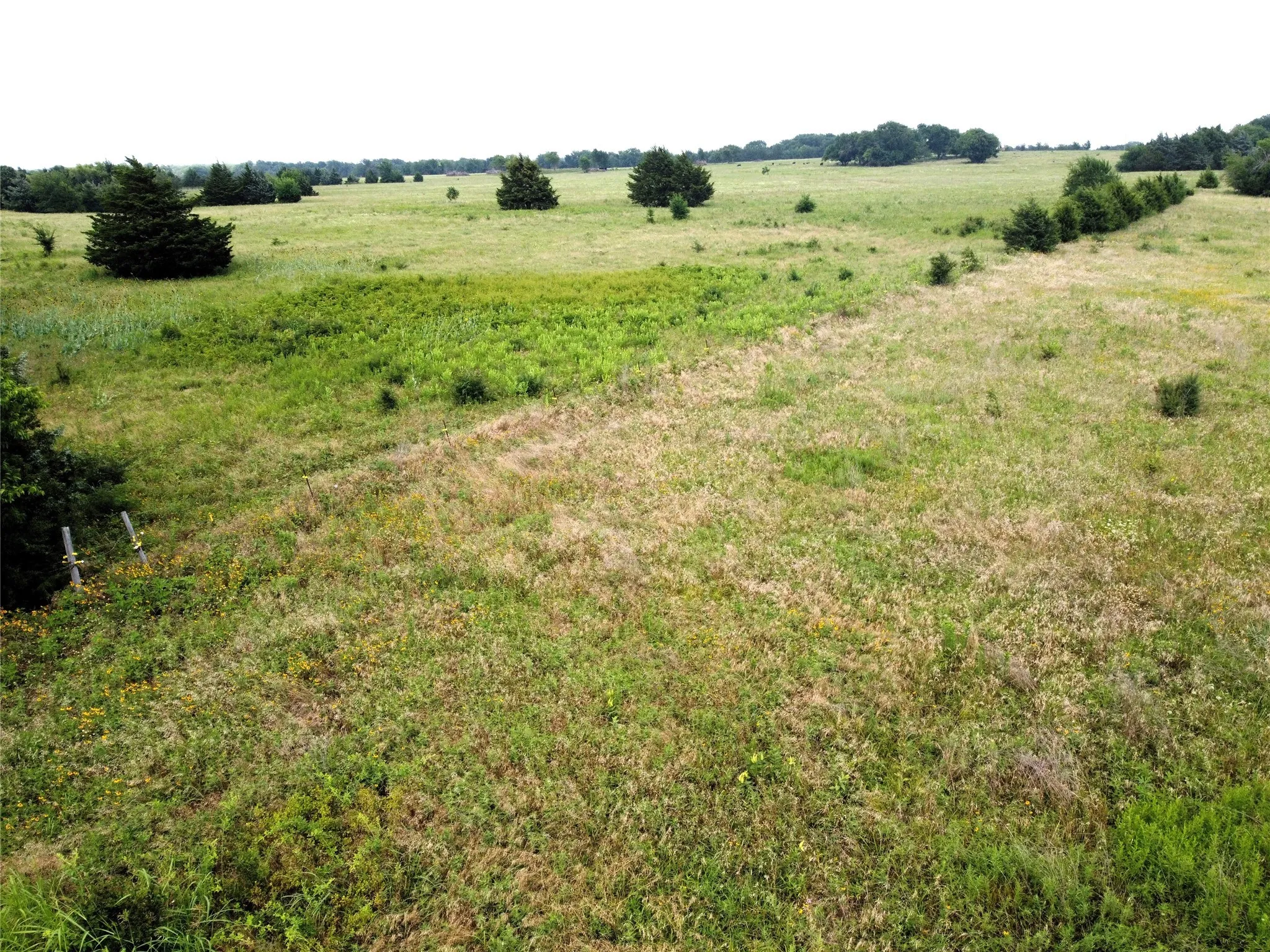 Unimproved Land For Sale in Fannin County , Lot 6 CR 1400, Ravenna, Texas 75476, 0, 0, Garage spaces, 0 Sqft, built in 0, Price $60,000, mls#20524160, Real Estate Agent in Ravenna, Homes For Sale in Fannin county, Homes For Sale in Ravenna, Realtor in Ravenna Texas, Real Estate Brokerage Independent Realty Texas, Luminita Cordes Realtor