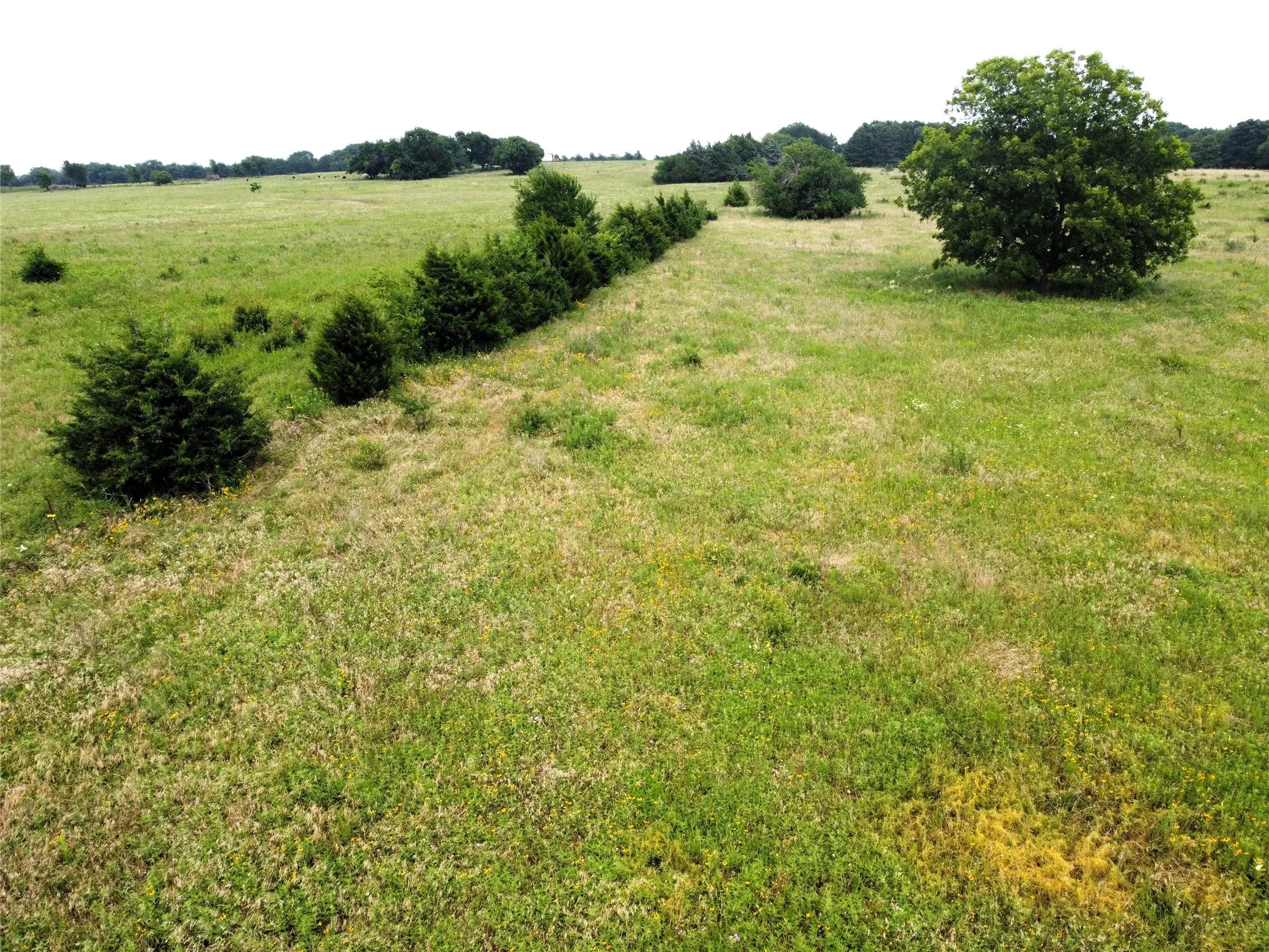 Unimproved Land For Sale in Fannin County , Lot 6 CR 1400, Ravenna, Texas 75476, 0, 0, Garage spaces, 0 Sqft, built in 0, Price $60,000, mls#20524160, Real Estate Agent in Ravenna, Homes For Sale in Fannin county, Homes For Sale in Ravenna, Realtor in Ravenna Texas, Real Estate Brokerage Independent Realty Texas, Luminita Cordes Realtor