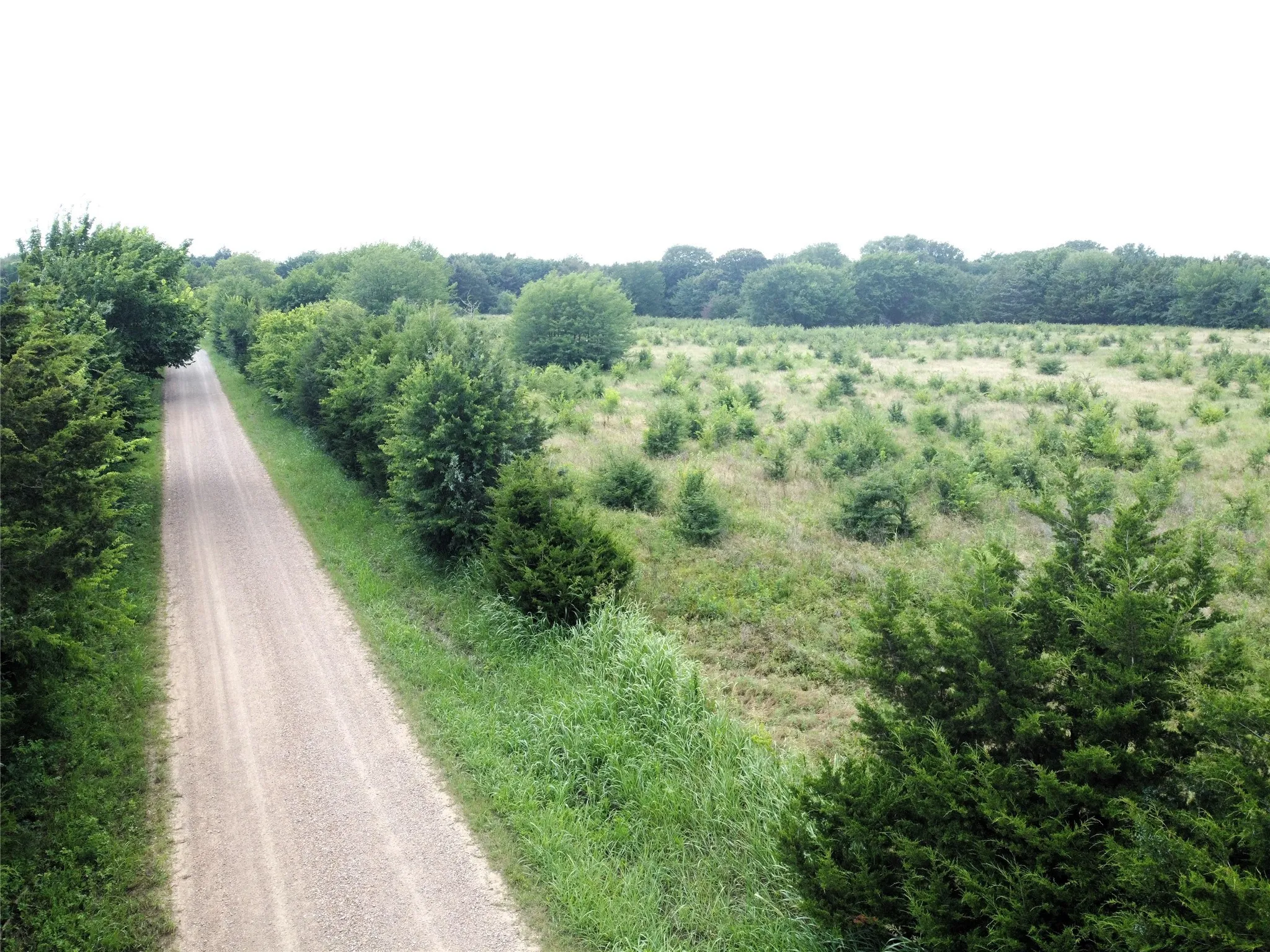 Unimproved Land For Sale in Fannin County , Lot 6 CR 1400, Ravenna, Texas 75476, 0, 0, Garage spaces, 0 Sqft, built in 0, Price $60,000, mls#20524160, Real Estate Agent in Ravenna, Homes For Sale in Fannin county, Homes For Sale in Ravenna, Realtor in Ravenna Texas, Real Estate Brokerage Independent Realty Texas, Luminita Cordes Realtor
