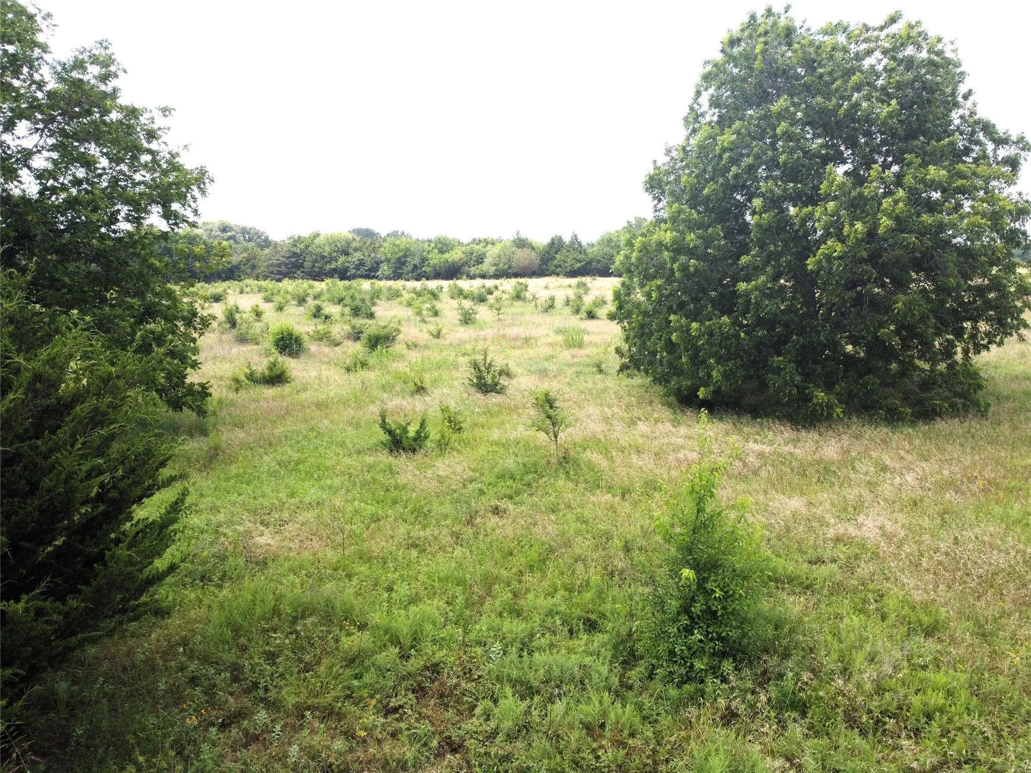 Unimproved Land For Sale in Fannin County , Lot 6 CR 1400, Ravenna, Texas 75476, 0, 0, Garage spaces, 0 Sqft, built in 0, Price $60,000, mls#20524160, Real Estate Agent in Ravenna, Homes For Sale in Fannin county, Homes For Sale in Ravenna, Realtor in Ravenna Texas, Real Estate Brokerage Independent Realty Texas, Luminita Cordes Realtor