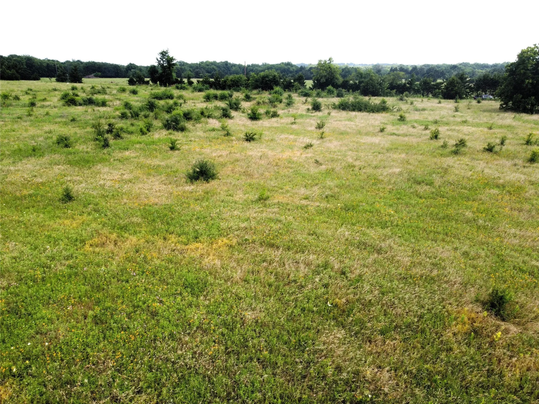 Unimproved Land For Sale in Fannin County , Lot 6 CR 1400, Ravenna, Texas 75476, 0, 0, Garage spaces, 0 Sqft, built in 0, Price $60,000, mls#20524160, Real Estate Agent in Ravenna, Homes For Sale in Fannin county, Homes For Sale in Ravenna, Realtor in Ravenna Texas, Real Estate Brokerage Independent Realty Texas, Luminita Cordes Realtor