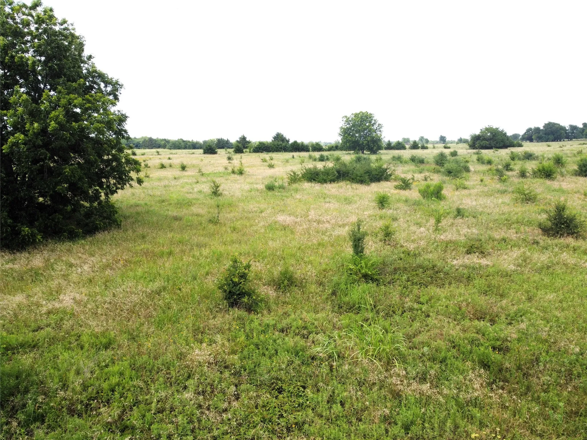 Unimproved Land For Sale in Fannin County , Lot 6 CR 1400, Ravenna, Texas 75476, 0, 0, Garage spaces, 0 Sqft, built in 0, Price $60,000, mls#20524160, Real Estate Agent in Ravenna, Homes For Sale in Fannin county, Homes For Sale in Ravenna, Realtor in Ravenna Texas, Real Estate Brokerage Independent Realty Texas, Luminita Cordes Realtor