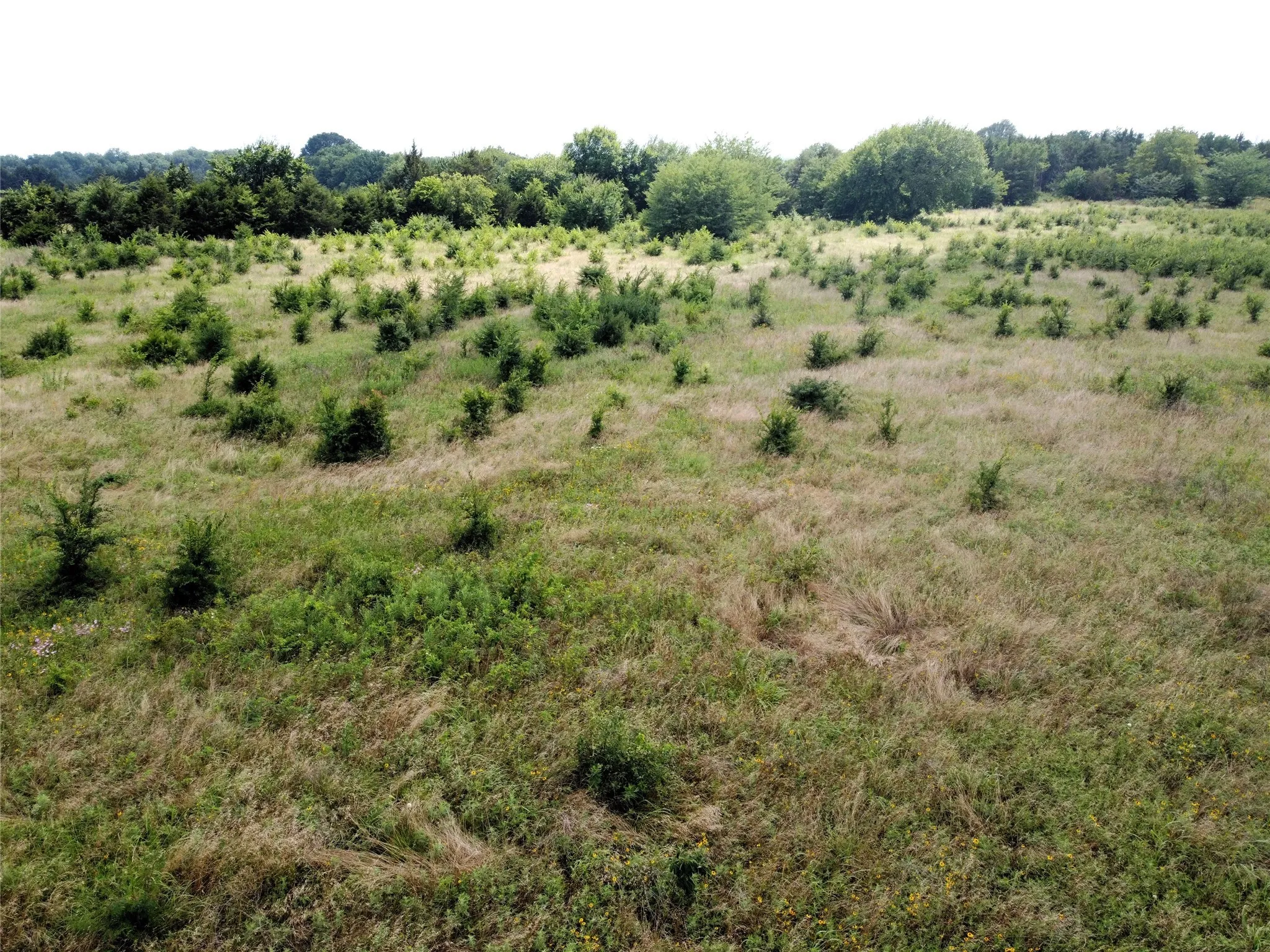 Unimproved Land For Sale in Fannin County , Lot 6 CR 1400, Ravenna, Texas 75476, 0, 0, Garage spaces, 0 Sqft, built in 0, Price $60,000, mls#20524160, Real Estate Agent in Ravenna, Homes For Sale in Fannin county, Homes For Sale in Ravenna, Realtor in Ravenna Texas, Real Estate Brokerage Independent Realty Texas, Luminita Cordes Realtor