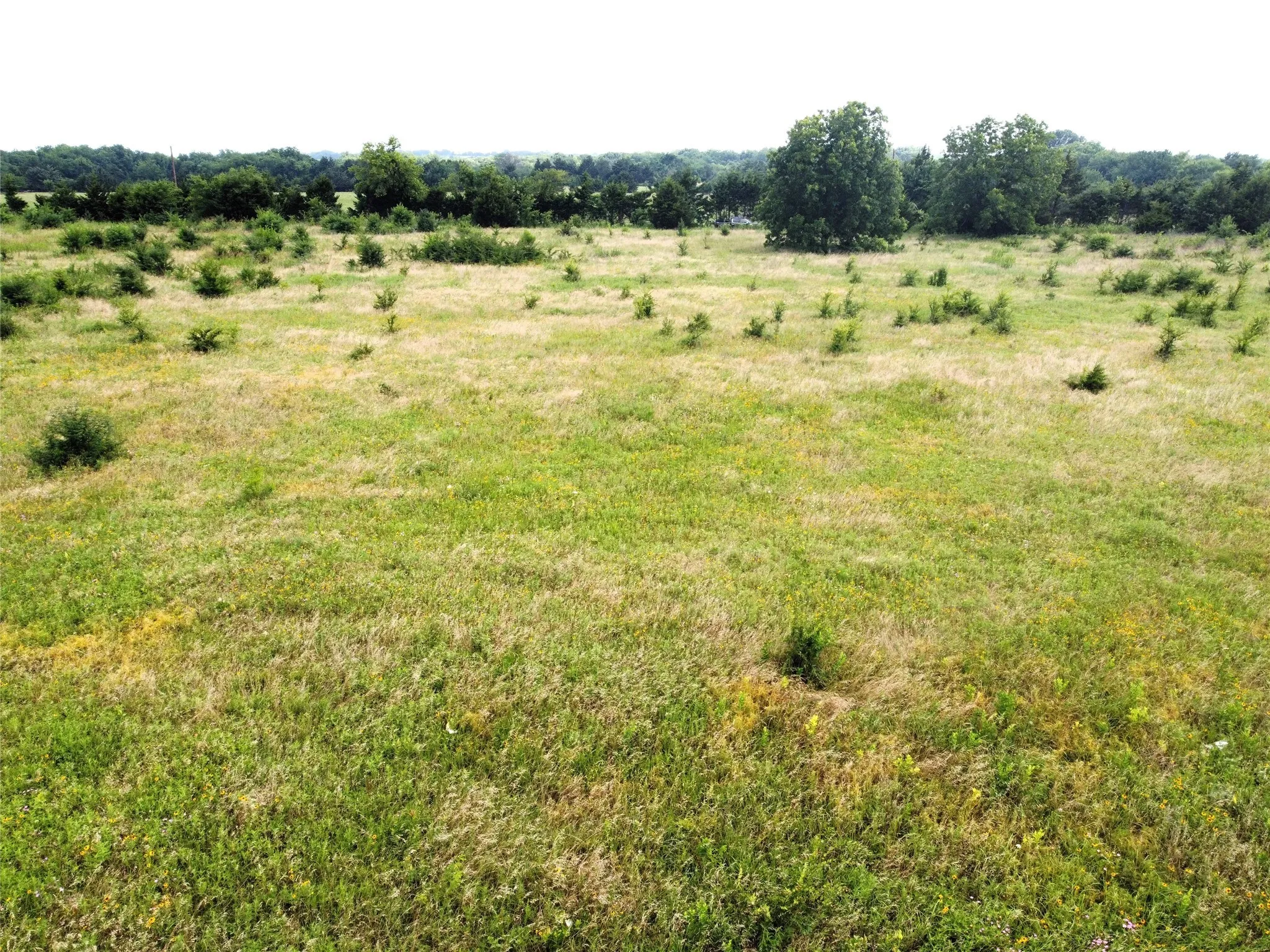 Unimproved Land For Sale in Fannin County , Lot 6 CR 1400, Ravenna, Texas 75476, 0, 0, Garage spaces, 0 Sqft, built in 0, Price $60,000, mls#20524160, Real Estate Agent in Ravenna, Homes For Sale in Fannin county, Homes For Sale in Ravenna, Realtor in Ravenna Texas, Real Estate Brokerage Independent Realty Texas, Luminita Cordes Realtor
