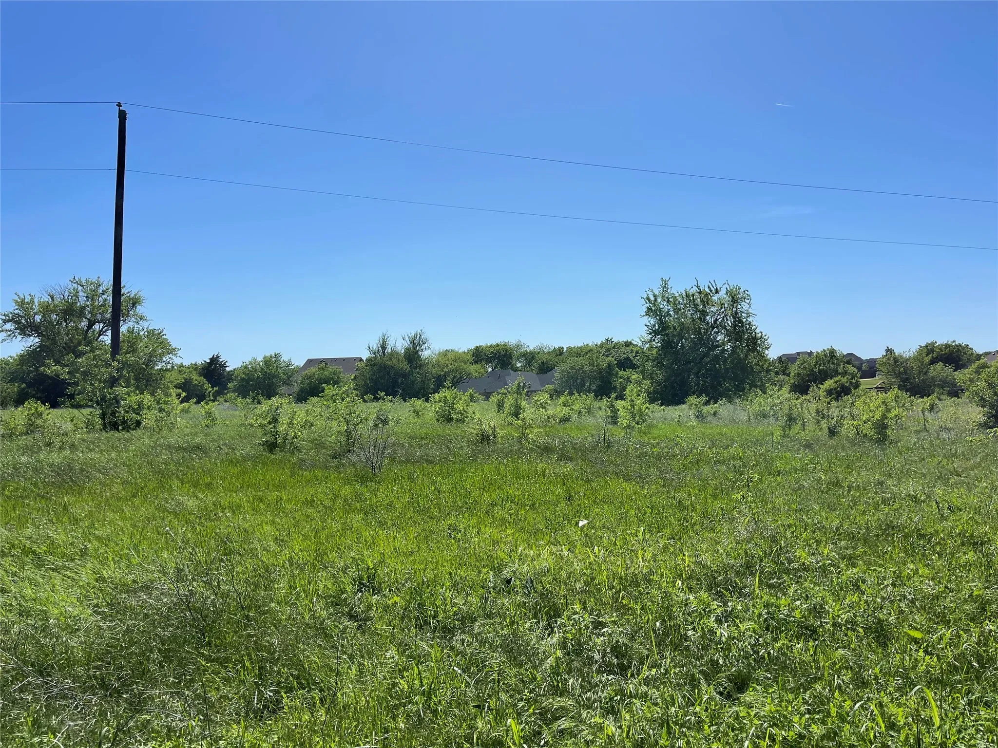 Unimproved Land For Sale in Ellis County , 00 Mc Alpin Road, Midlothian, Texas 76065, 0, 0, Garage spaces, 0 Sqft, built in 0, Price $450,000, mls#20521373, Real Estate Agent in Midlothian, Homes For Sale in Ellis county, Homes For Sale in Midlothian, Realtor in Midlothian Texas, Real Estate Brokerage Independent Realty Texas, Luminita Cordes Realtor