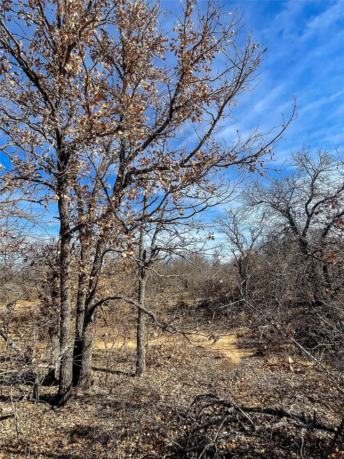Ranch For Sale in Jones County , TBD FM 600, Abilene, Texas 79601, 0, 0, Garage spaces, 0 Sqft, built in 0, Price $228,900, mls#20509730, Real Estate Agent in Abilene, Homes For Sale in Jones county, Homes For Sale in Abilene, Realtor in Abilene Texas, Real Estate Brokerage Independent Realty Texas, Luminita Cordes Realtor