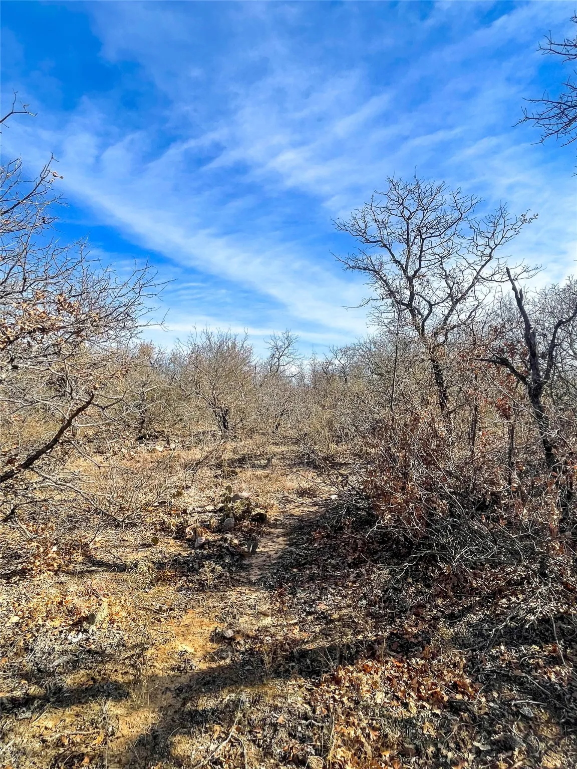 Ranch For Sale in Jones County , TBD FM 600, Abilene, Texas 79601, 0, 0, Garage spaces, 0 Sqft, built in 0, Price $228,900, mls#20509730, Real Estate Agent in Abilene, Homes For Sale in Jones county, Homes For Sale in Abilene, Realtor in Abilene Texas, Real Estate Brokerage Independent Realty Texas, Luminita Cordes Realtor