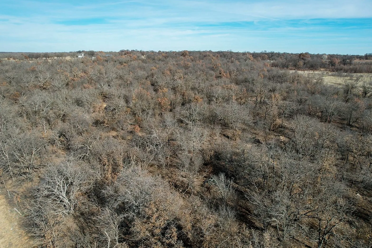 Ranch For Sale in Jones County , TBD FM 600, Abilene, Texas 79601, 0, 0, Garage spaces, 0 Sqft, built in 0, Price $228,900, mls#20509730, Real Estate Agent in Abilene, Homes For Sale in Jones county, Homes For Sale in Abilene, Realtor in Abilene Texas, Real Estate Brokerage Independent Realty Texas, Luminita Cordes Realtor