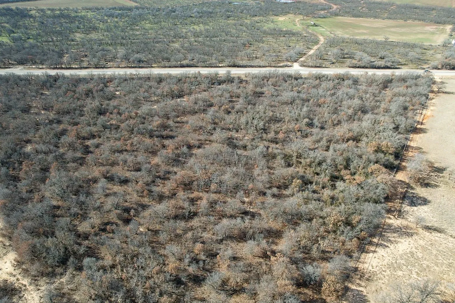 Ranch For Sale in Jones County , TBD FM 600, Abilene, Texas 79601, 0, 0, Garage spaces, 0 Sqft, built in 0, Price $228,900, mls#20509730, Real Estate Agent in Abilene, Homes For Sale in Jones county, Homes For Sale in Abilene, Realtor in Abilene Texas, Real Estate Brokerage Independent Realty Texas, Luminita Cordes Realtor