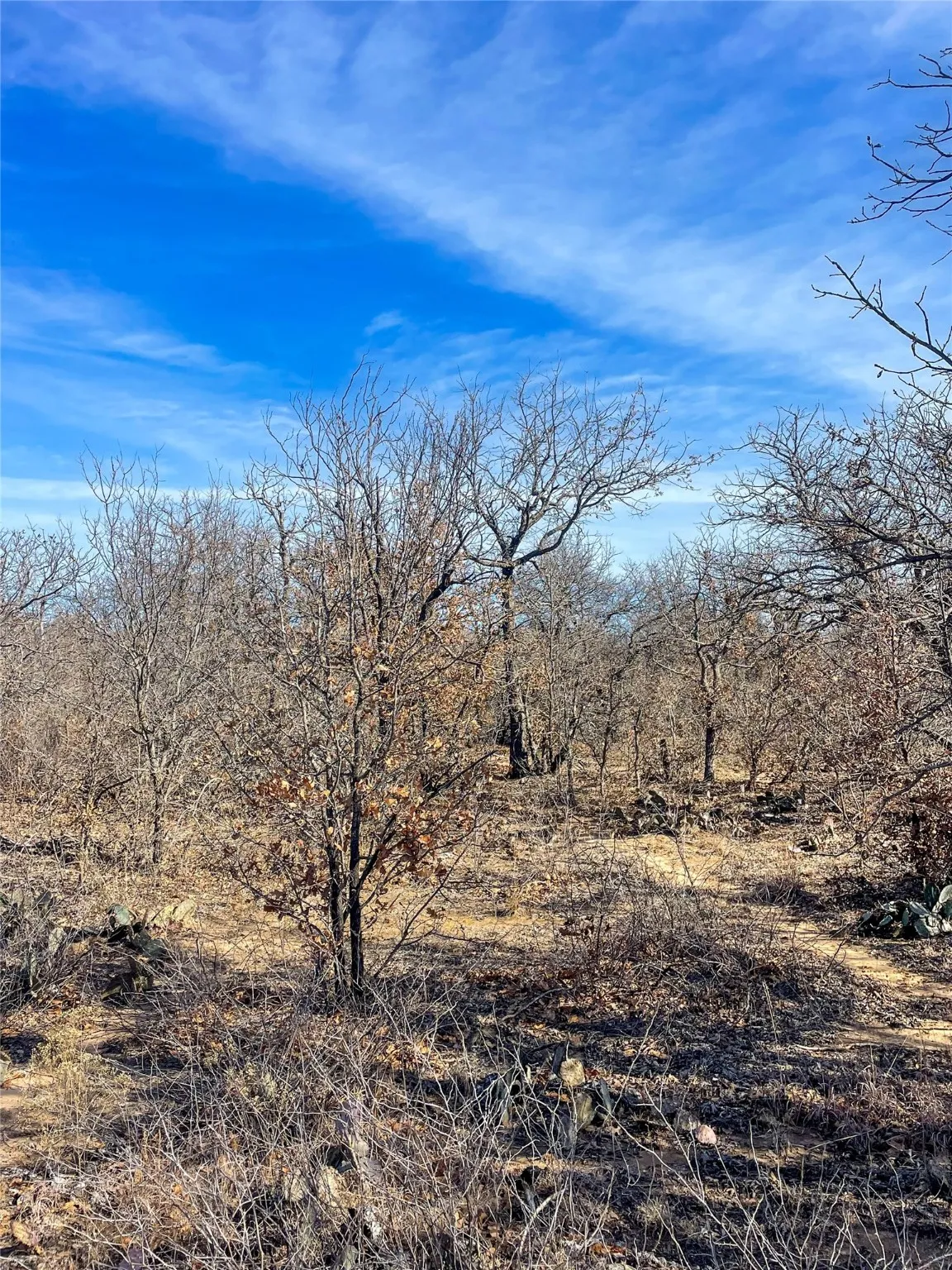Ranch For Sale in Jones County , TBD FM 600, Abilene, Texas 79601, 0, 0, Garage spaces, 0 Sqft, built in 0, Price $228,900, mls#20509730, Real Estate Agent in Abilene, Homes For Sale in Jones county, Homes For Sale in Abilene, Realtor in Abilene Texas, Real Estate Brokerage Independent Realty Texas, Luminita Cordes Realtor
