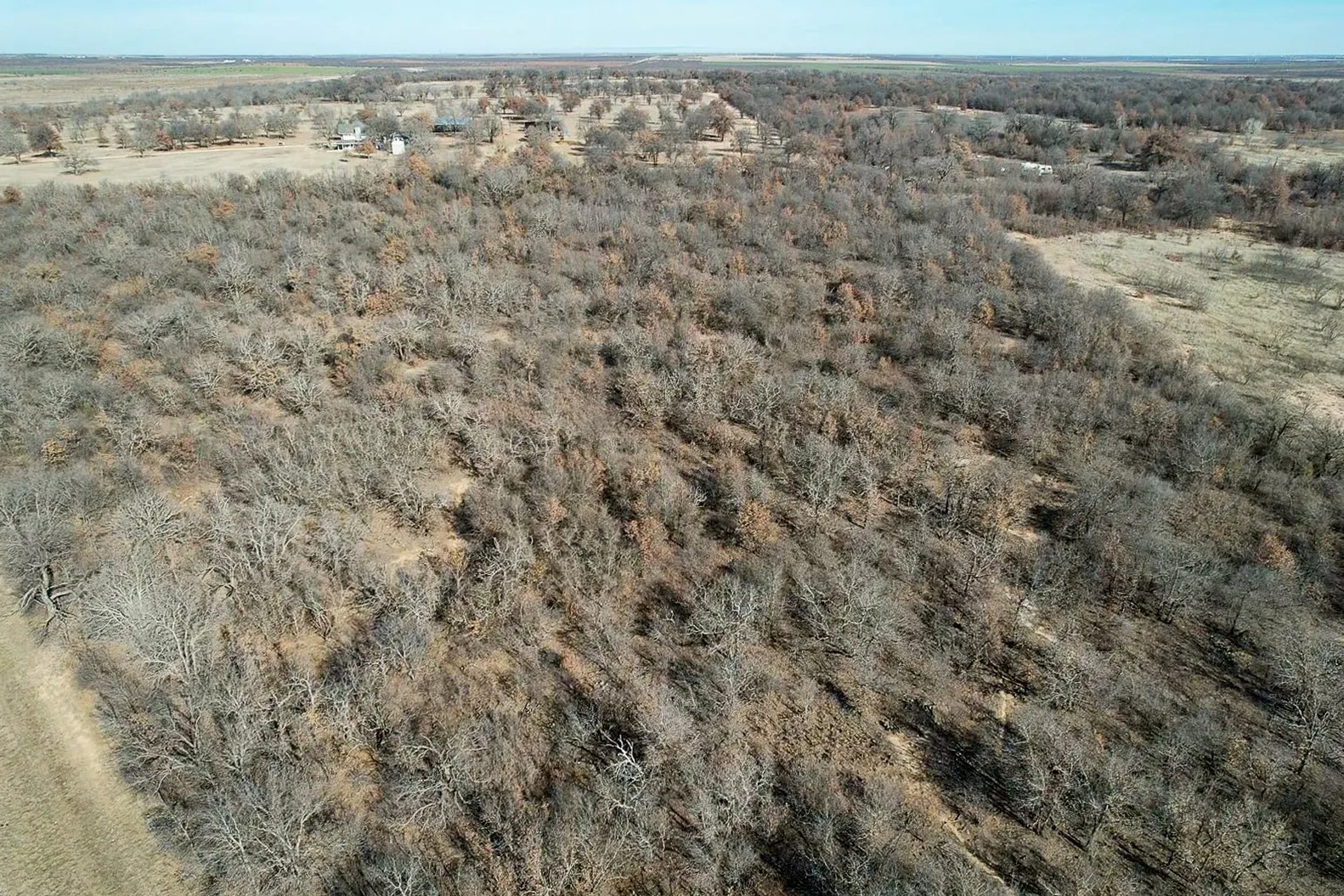 Ranch For Sale in Jones County , TBD FM 600, Abilene, Texas 79601, 0, 0, Garage spaces, 0 Sqft, built in 0, Price $228,900, mls#20509730, Real Estate Agent in Abilene, Homes For Sale in Jones county, Homes For Sale in Abilene, Realtor in Abilene Texas, Real Estate Brokerage Independent Realty Texas, Luminita Cordes Realtor