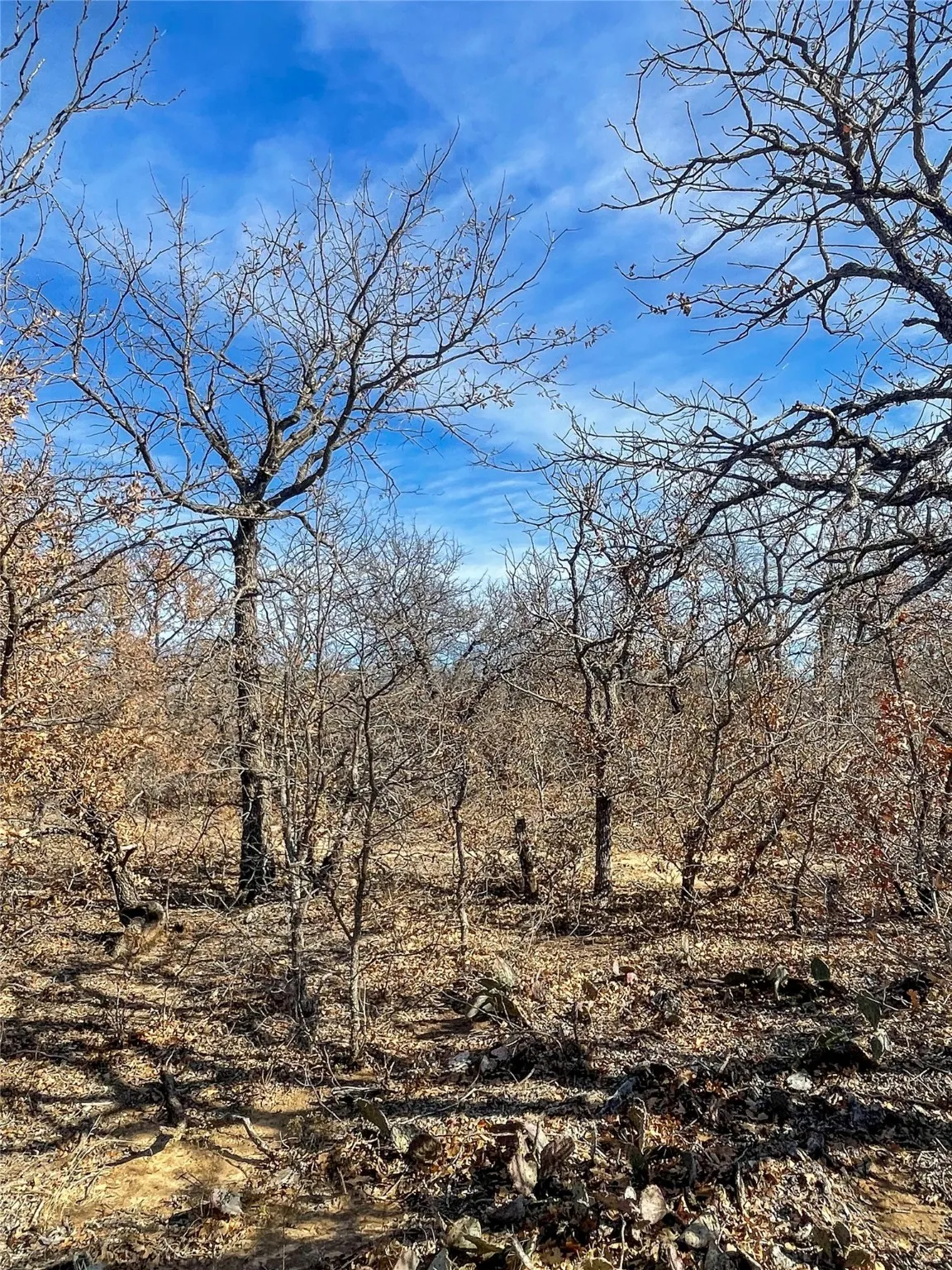 Ranch For Sale in Jones County , TBD FM 600, Abilene, Texas 79601, 0, 0, Garage spaces, 0 Sqft, built in 0, Price $228,900, mls#20509730, Real Estate Agent in Abilene, Homes For Sale in Jones county, Homes For Sale in Abilene, Realtor in Abilene Texas, Real Estate Brokerage Independent Realty Texas, Luminita Cordes Realtor