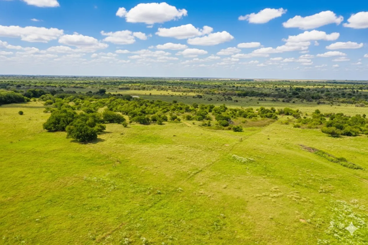 Farm For Sale in Wilbarger County , 10157 N CR 129, Harrold, Texas 76364, 2 Bedrooms, 1 Bathroom, Garage spaces, 0 Sqft, built in 0, Price $5,400,000, mls#20529597, Real Estate Agent in Harrold, Homes For Sale in Wilbarger county, Homes For Sale in Harrold, Realtor in Harrold Texas, Real Estate Brokerage Independent Realty Texas, Luminita Cordes Realtor