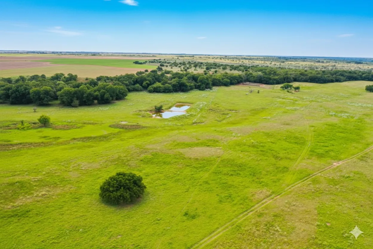 Farm For Sale in Wilbarger County , 10157 N CR 129, Harrold, Texas 76364, 2 Bedrooms, 1 Bathroom, Garage spaces, 0 Sqft, built in 0, Price $5,400,000, mls#20529597, Real Estate Agent in Harrold, Homes For Sale in Wilbarger county, Homes For Sale in Harrold, Realtor in Harrold Texas, Real Estate Brokerage Independent Realty Texas, Luminita Cordes Realtor