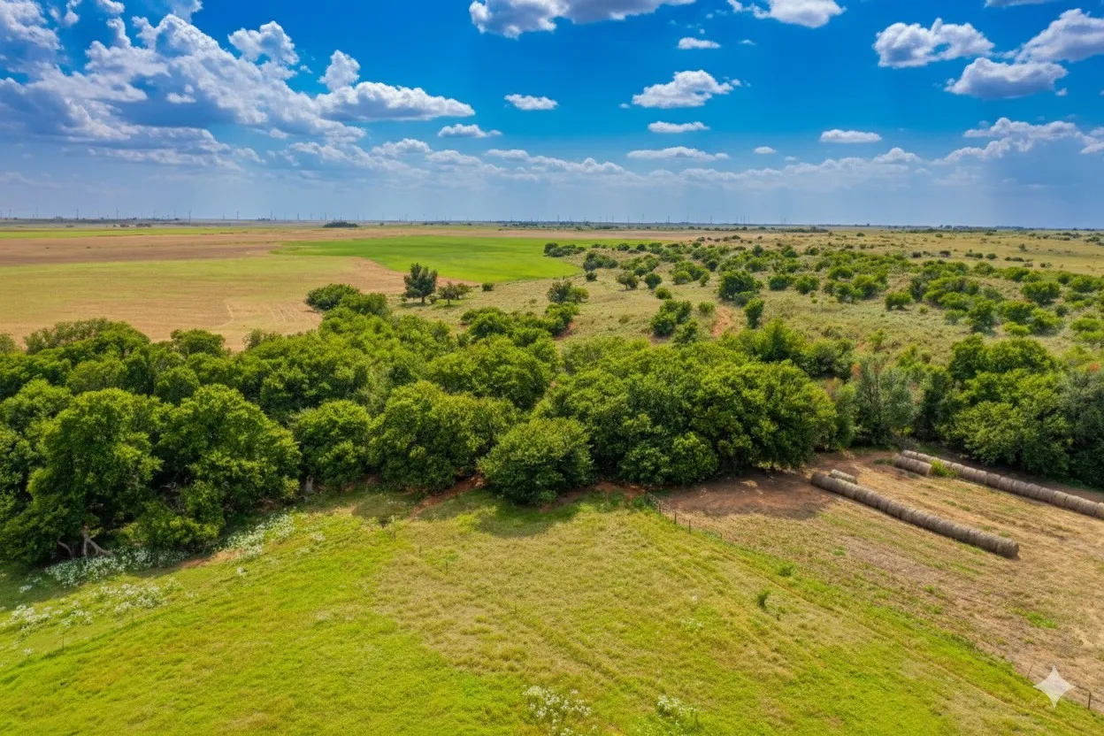 Farm For Sale in Wilbarger County , 10157 N CR 129, Harrold, Texas 76364, 2 Bedrooms, 1 Bathroom, Garage spaces, 0 Sqft, built in 0, Price $5,400,000, mls#20529597, Real Estate Agent in Harrold, Homes For Sale in Wilbarger county, Homes For Sale in Harrold, Realtor in Harrold Texas, Real Estate Brokerage Independent Realty Texas, Luminita Cordes Realtor