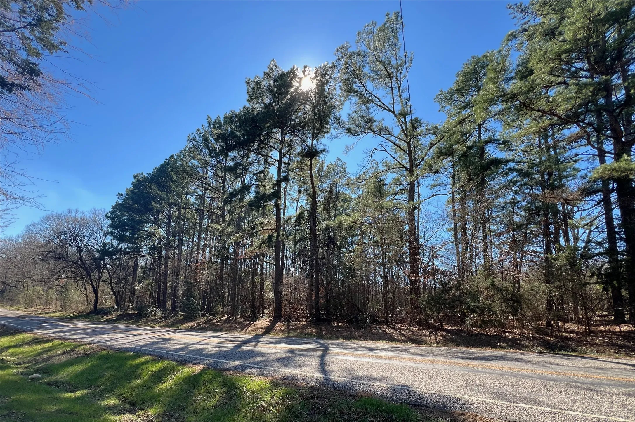 Improved Land For Sale in Camp County , TBD Farm Market 1521, Pittsburg, Texas 75686, 0, 0, Garage spaces, 0 Sqft, built in 0, mls#20532523, Real Estate Agent in Pittsburg, Homes For Sale in Camp county, Homes For Sale in Pittsburg, Realtor in Pittsburg Texas, Real Estate Brokerage Independent Realty Texas, Luminita Cordes Realtor