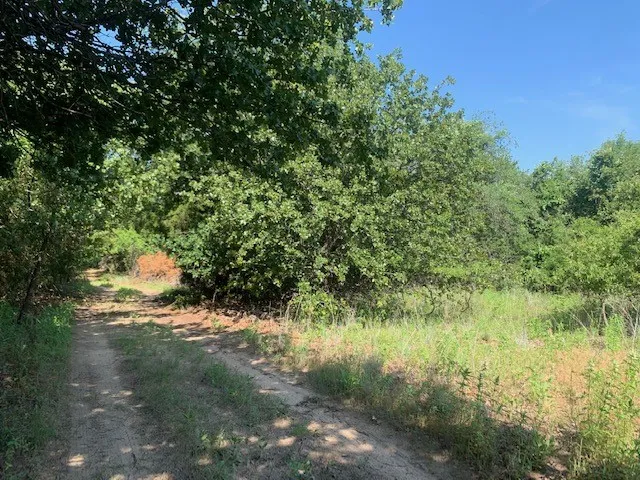 Unimproved Land For Sale in Tarrant County , 833 Boyd Road, Azle, Texas 76020, 0, 0, Garage spaces, 0 Sqft, built in 1958, mls#20546225, Real Estate Agent in Azle, Homes For Sale in Tarrant county, Homes For Sale in Azle, Realtor in Azle Texas, Real Estate Brokerage Independent Realty Texas, Luminita Cordes Realtor