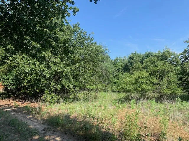 Unimproved Land For Sale in Tarrant County , 833 Boyd Road, Azle, Texas 76020, 0, 0, Garage spaces, 0 Sqft, built in 1958, mls#20546225, Real Estate Agent in Azle, Homes For Sale in Tarrant county, Homes For Sale in Azle, Realtor in Azle Texas, Real Estate Brokerage Independent Realty Texas, Luminita Cordes Realtor