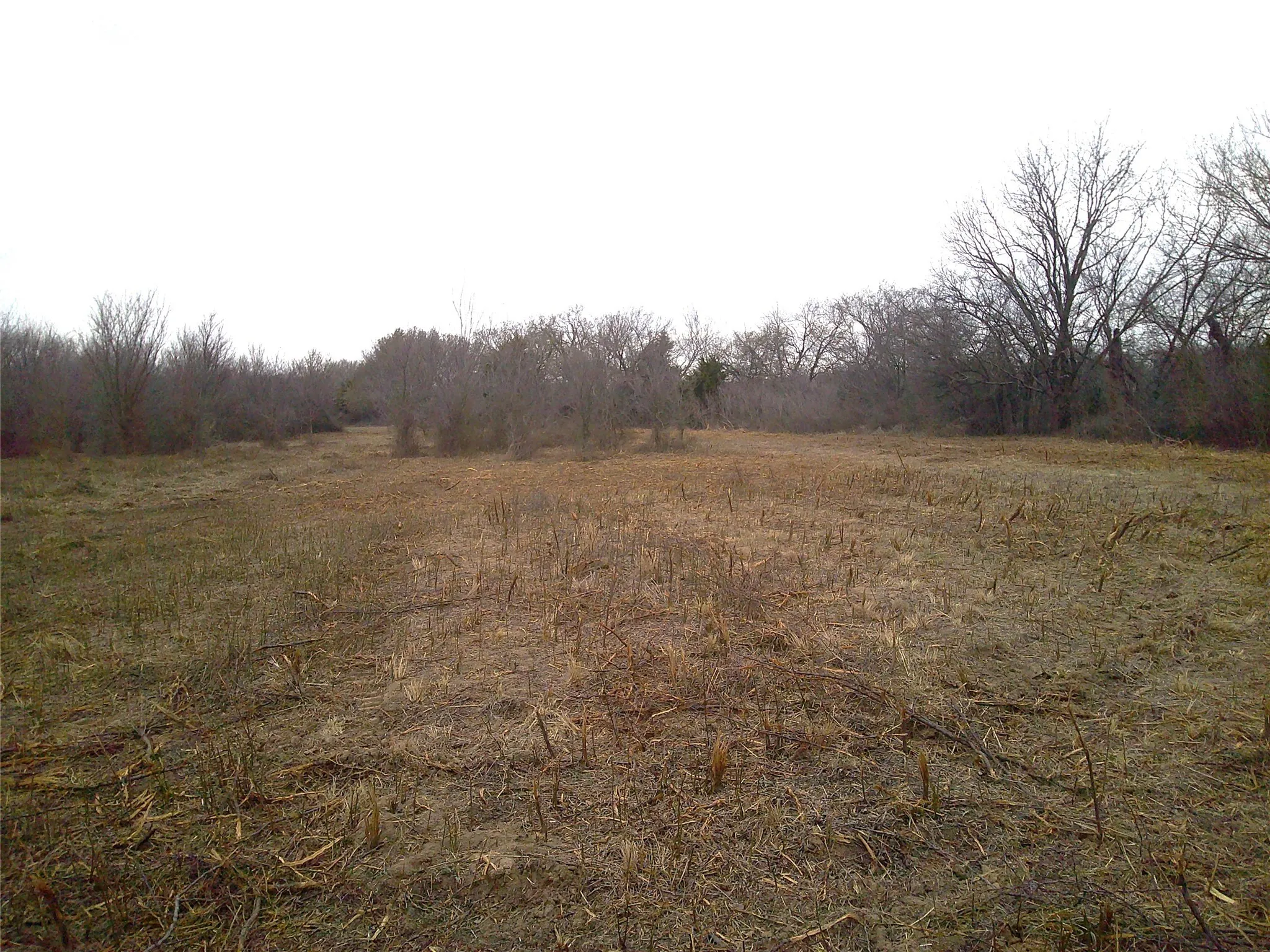 Unimproved Land For Sale in Montague County , Tr 1 State Hwy 59, Montague, Texas 76251, 0, 0, Garage spaces, 0 Sqft, built in 0, Price $260,000, mls#20546522, Real Estate Agent in Montague, Homes For Sale in Montague county, Homes For Sale in Montague, Realtor in Montague Texas, Real Estate Brokerage Independent Realty Texas, Luminita Cordes Realtor