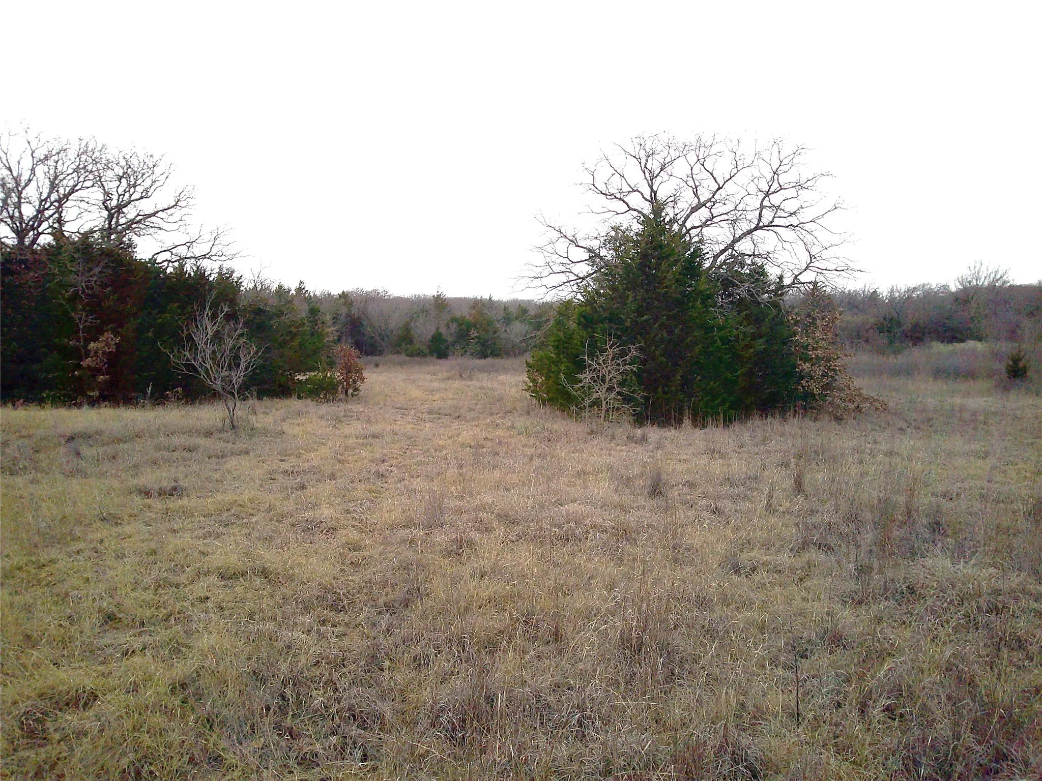 Unimproved Land For Sale in Montague County , Tr 1 State Hwy 59, Montague, Texas 76251, 0, 0, Garage spaces, 0 Sqft, built in 0, Price $260,000, mls#20546522, Real Estate Agent in Montague, Homes For Sale in Montague county, Homes For Sale in Montague, Realtor in Montague Texas, Real Estate Brokerage Independent Realty Texas, Luminita Cordes Realtor