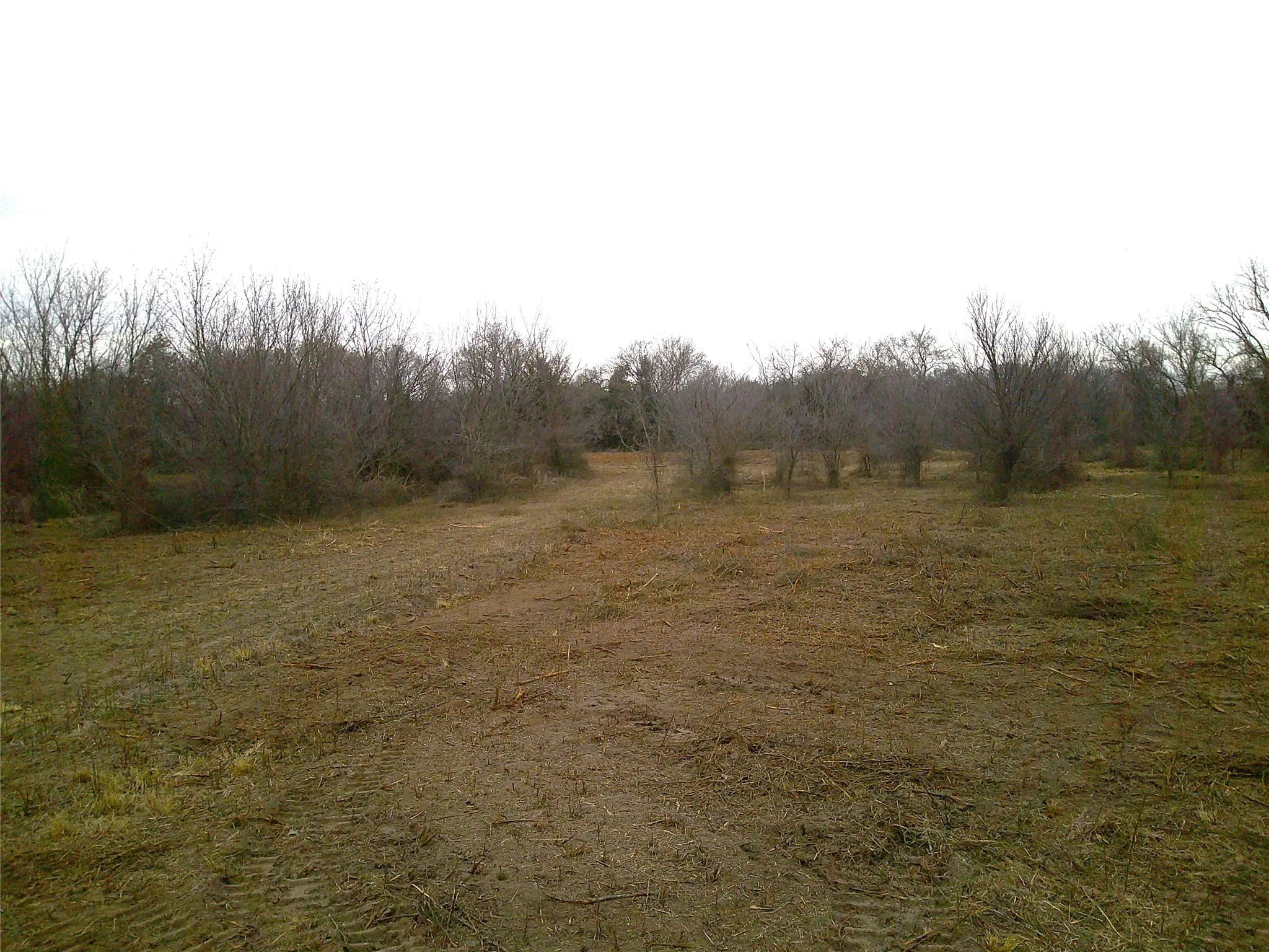 Unimproved Land For Sale in Montague County , Tr 1 State Hwy 59, Montague, Texas 76251, 0, 0, Garage spaces, 0 Sqft, built in 0, Price $260,000, mls#20546522, Real Estate Agent in Montague, Homes For Sale in Montague county, Homes For Sale in Montague, Realtor in Montague Texas, Real Estate Brokerage Independent Realty Texas, Luminita Cordes Realtor