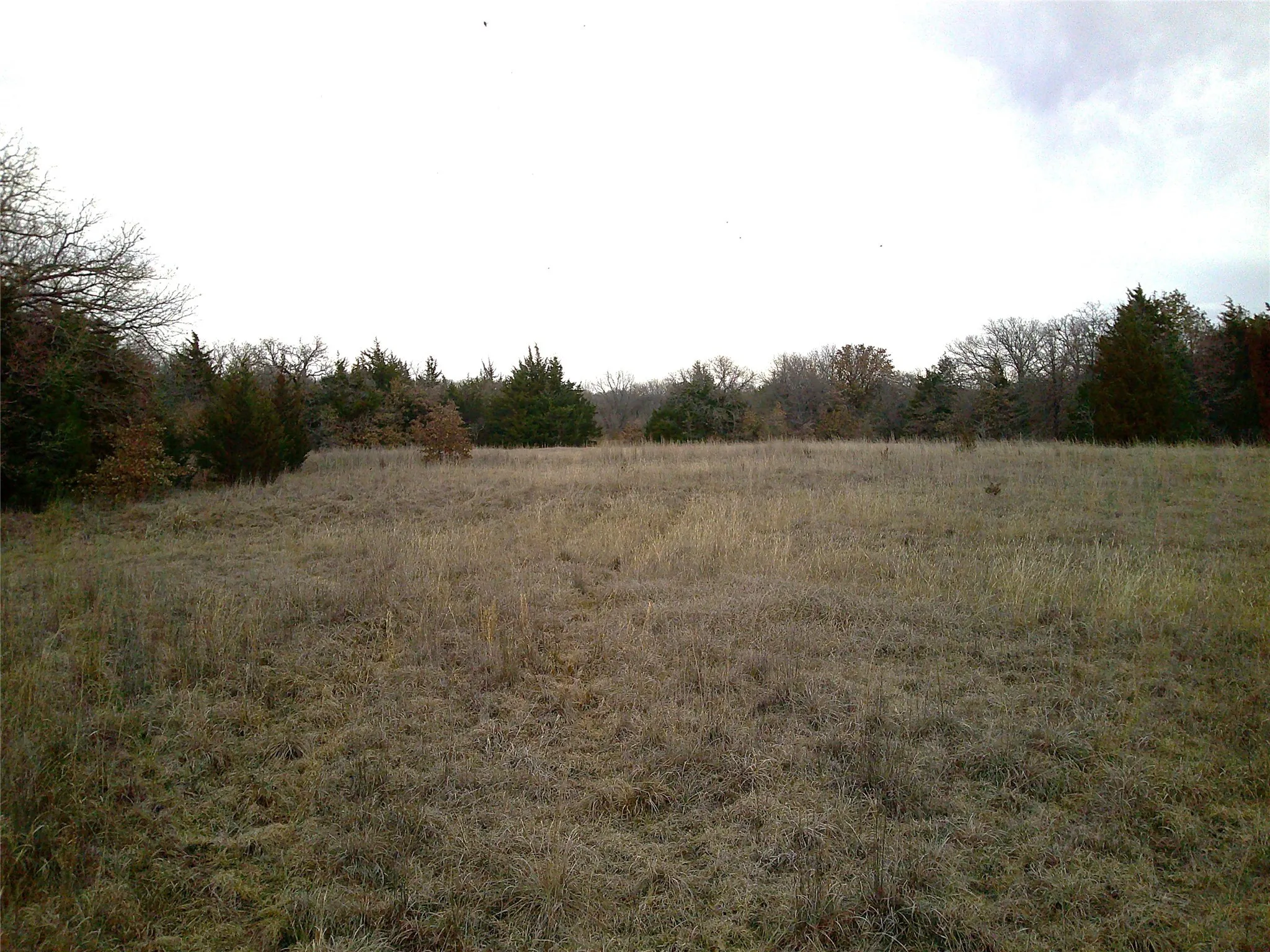 Unimproved Land For Sale in Montague County , Tr 1 State Hwy 59, Montague, Texas 76251, 0, 0, Garage spaces, 0 Sqft, built in 0, Price $260,000, mls#20546522, Real Estate Agent in Montague, Homes For Sale in Montague county, Homes For Sale in Montague, Realtor in Montague Texas, Real Estate Brokerage Independent Realty Texas, Luminita Cordes Realtor