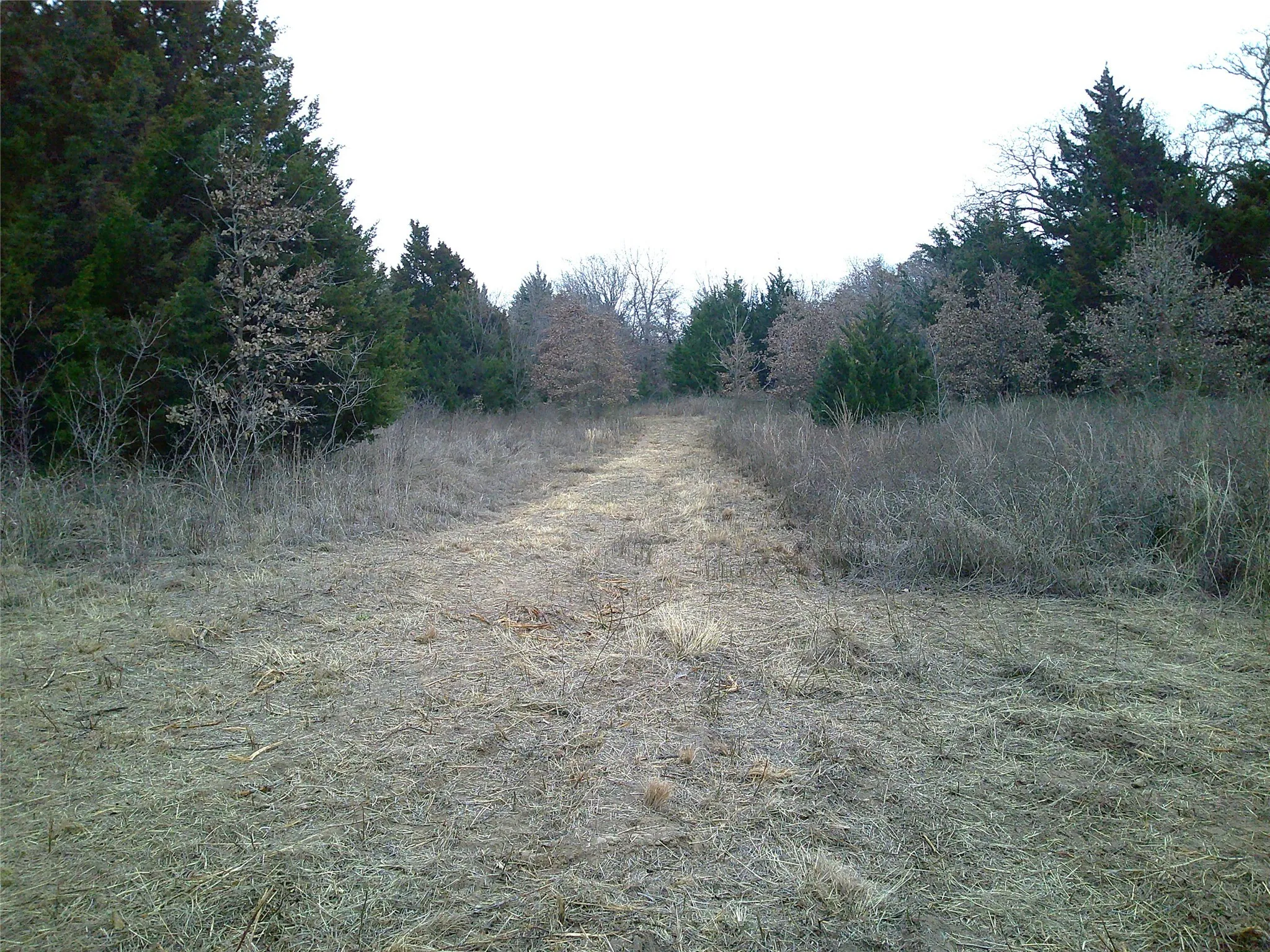 Unimproved Land For Sale in Montague County , Tr 1 State Hwy 59, Montague, Texas 76251, 0, 0, Garage spaces, 0 Sqft, built in 0, Price $260,000, mls#20546522, Real Estate Agent in Montague, Homes For Sale in Montague county, Homes For Sale in Montague, Realtor in Montague Texas, Real Estate Brokerage Independent Realty Texas, Luminita Cordes Realtor