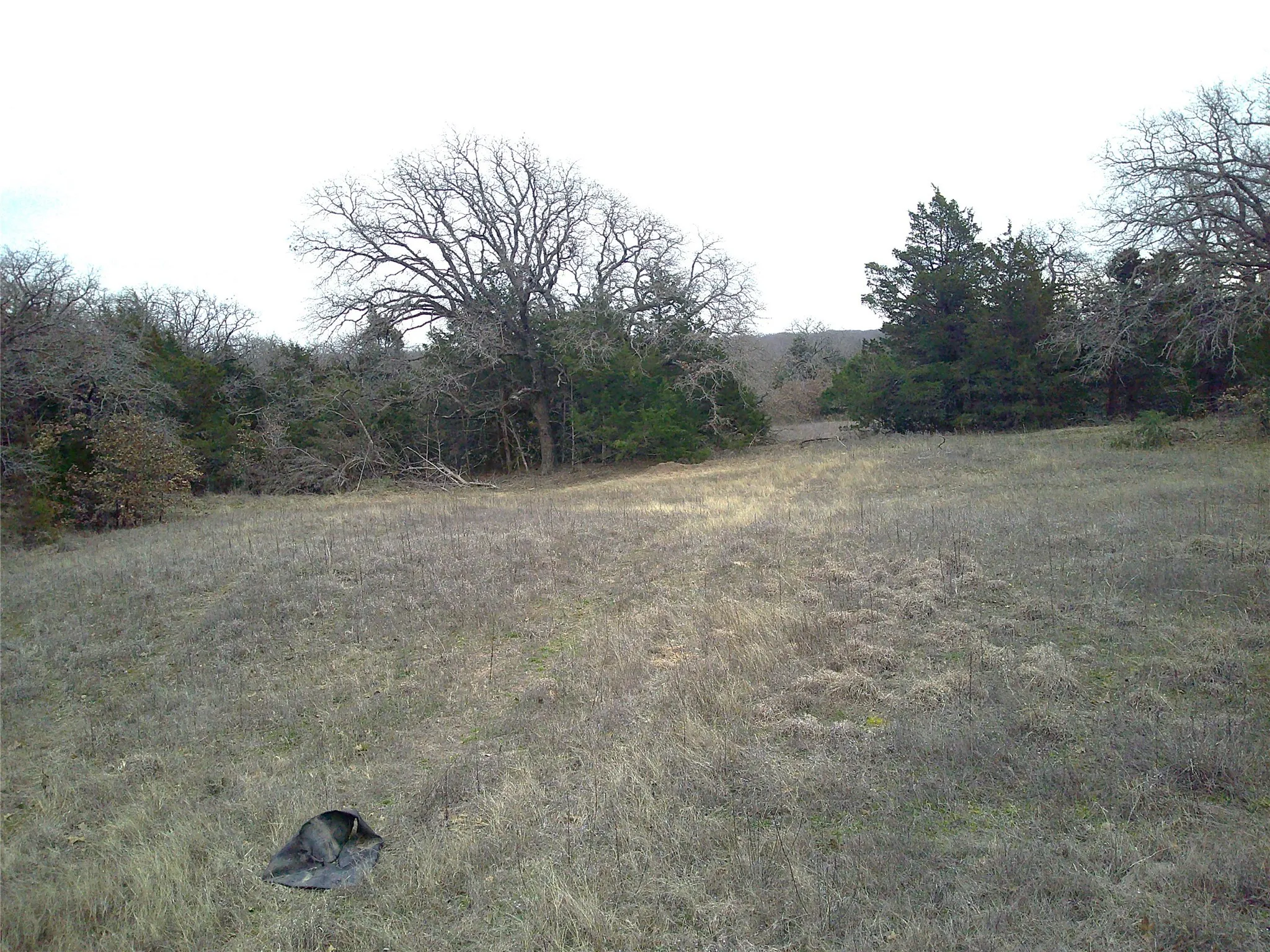 Unimproved Land For Sale in Montague County , Tr 1 State Hwy 59, Montague, Texas 76251, 0, 0, Garage spaces, 0 Sqft, built in 0, Price $260,000, mls#20546522, Real Estate Agent in Montague, Homes For Sale in Montague county, Homes For Sale in Montague, Realtor in Montague Texas, Real Estate Brokerage Independent Realty Texas, Luminita Cordes Realtor