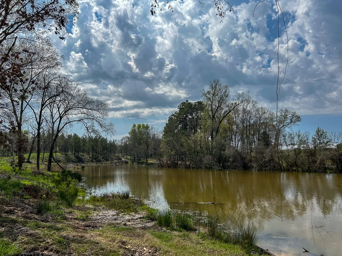 Unimproved Land For Sale in Angelina County , 0 Kurth Drive, Lufkin, Texas 75904, 0, 0, Garage spaces, 0 Sqft, built in 0, Price $255,728, mls#20554077, Real Estate Agent in Lufkin, Homes For Sale in Angelina county, Homes For Sale in Lufkin, Realtor in Lufkin Texas, Real Estate Brokerage Independent Realty Texas, Luminita Cordes Realtor