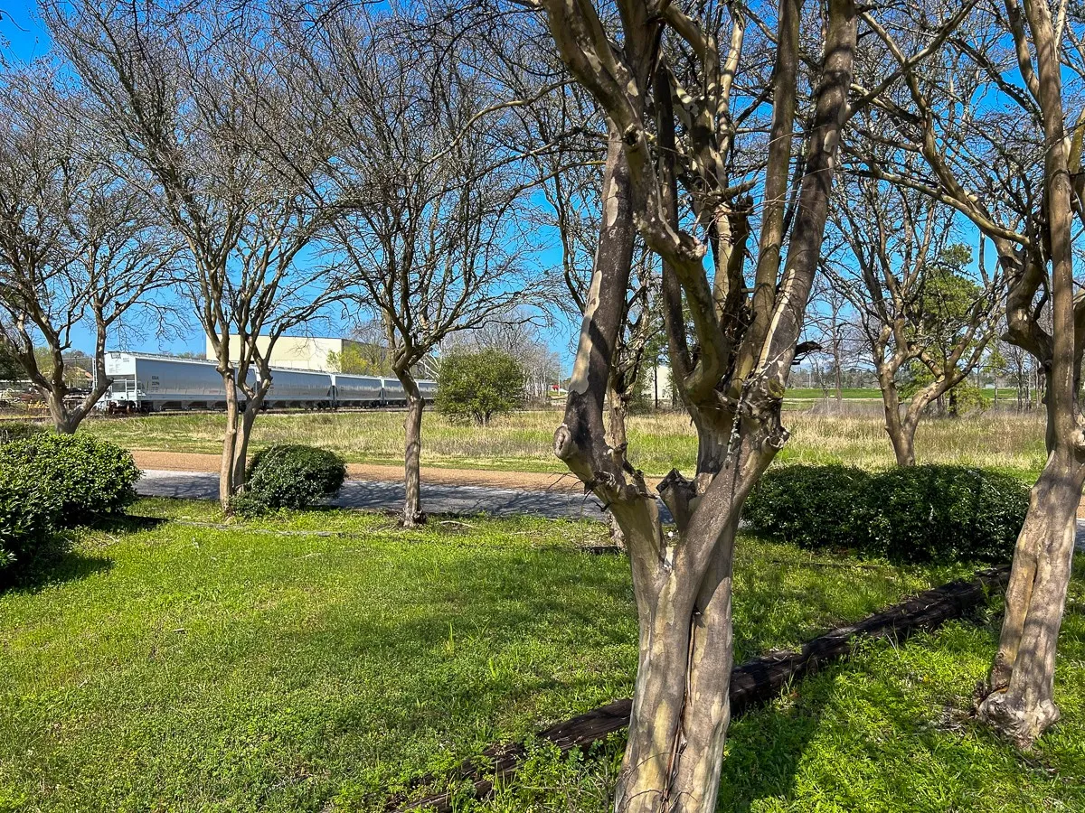 Unimproved Land For Sale in Angelina County , 0 Kurth Drive, Lufkin, Texas 75904, 0, 0, Garage spaces, 0 Sqft, built in 0, Price $255,728, mls#20554077, Real Estate Agent in Lufkin, Homes For Sale in Angelina county, Homes For Sale in Lufkin, Realtor in Lufkin Texas, Real Estate Brokerage Independent Realty Texas, Luminita Cordes Realtor