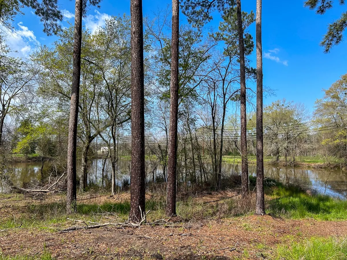 Unimproved Land For Sale in Angelina County , 0 Kurth Drive, Lufkin, Texas 75904, 0, 0, Garage spaces, 0 Sqft, built in 0, Price $255,728, mls#20554077, Real Estate Agent in Lufkin, Homes For Sale in Angelina county, Homes For Sale in Lufkin, Realtor in Lufkin Texas, Real Estate Brokerage Independent Realty Texas, Luminita Cordes Realtor