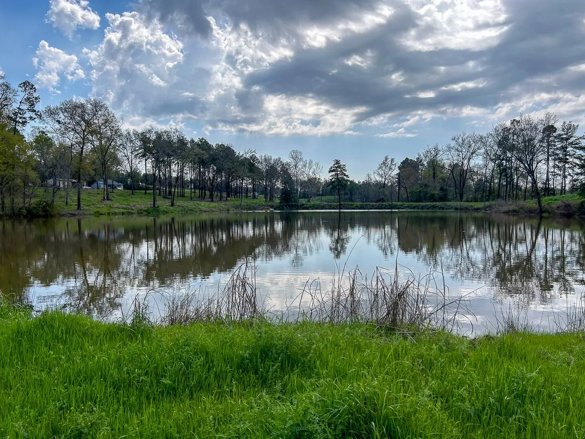 Unimproved Land For Sale in Angelina County , 0 Kurth Drive, Lufkin, Texas 75904, 0, 0, Garage spaces, 0 Sqft, built in 0, Price $255,728, mls#20554077, Real Estate Agent in Lufkin, Homes For Sale in Angelina county, Homes For Sale in Lufkin, Realtor in Lufkin Texas, Real Estate Brokerage Independent Realty Texas, Luminita Cordes Realtor