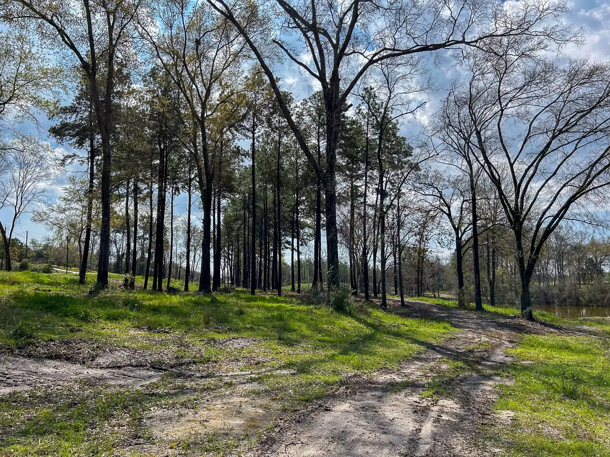 Unimproved Land For Sale in Angelina County , 0 Kurth Drive, Lufkin, Texas 75904, 0, 0, Garage spaces, 0 Sqft, built in 0, Price $255,728, mls#20554077, Real Estate Agent in Lufkin, Homes For Sale in Angelina county, Homes For Sale in Lufkin, Realtor in Lufkin Texas, Real Estate Brokerage Independent Realty Texas, Luminita Cordes Realtor