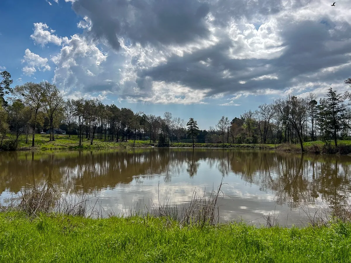 Unimproved Land For Sale in Angelina County , 0 Kurth Drive, Lufkin, Texas 75904, 0, 0, Garage spaces, 0 Sqft, built in 0, Price $255,728, mls#20554077, Real Estate Agent in Lufkin, Homes For Sale in Angelina county, Homes For Sale in Lufkin, Realtor in Lufkin Texas, Real Estate Brokerage Independent Realty Texas, Luminita Cordes Realtor