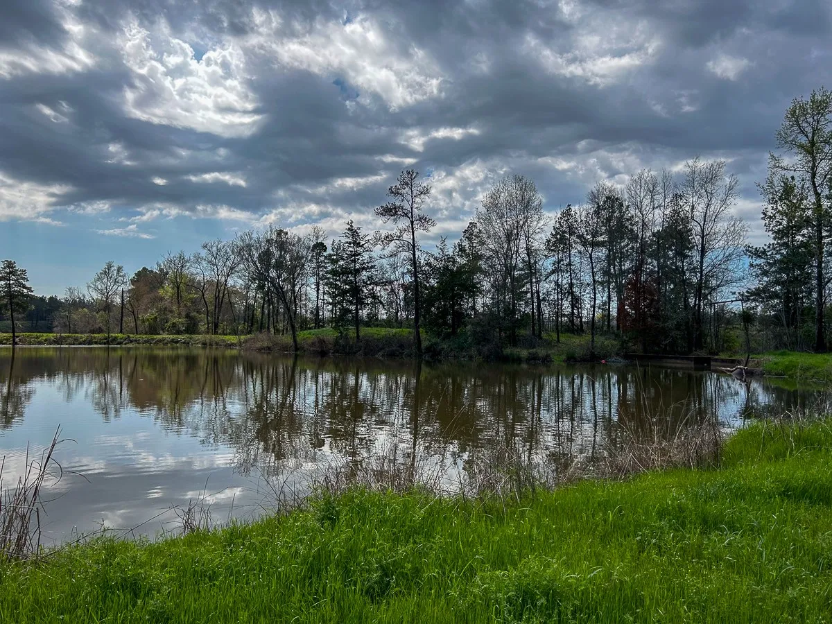 Unimproved Land For Sale in Angelina County , 0 Kurth Drive, Lufkin, Texas 75904, 0, 0, Garage spaces, 0 Sqft, built in 0, Price $255,728, mls#20554077, Real Estate Agent in Lufkin, Homes For Sale in Angelina county, Homes For Sale in Lufkin, Realtor in Lufkin Texas, Real Estate Brokerage Independent Realty Texas, Luminita Cordes Realtor