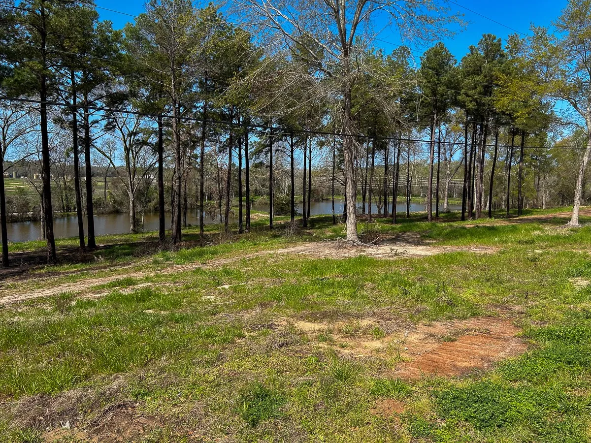 Unimproved Land For Sale in Angelina County , 0 Kurth Drive, Lufkin, Texas 75904, 0, 0, Garage spaces, 0 Sqft, built in 0, Price $255,728, mls#20554077, Real Estate Agent in Lufkin, Homes For Sale in Angelina county, Homes For Sale in Lufkin, Realtor in Lufkin Texas, Real Estate Brokerage Independent Realty Texas, Luminita Cordes Realtor