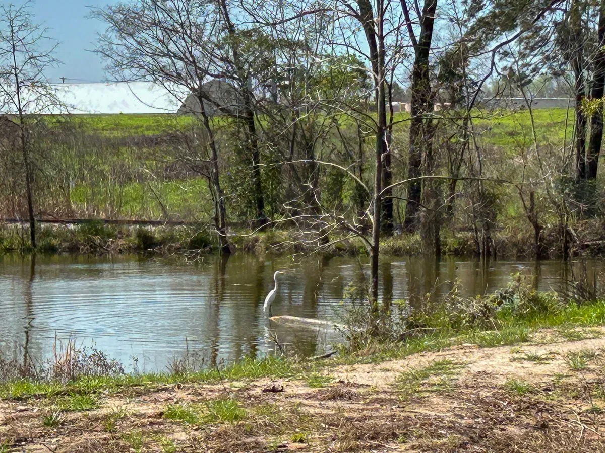 Unimproved Land For Sale in Angelina County , 0 Kurth Drive, Lufkin, Texas 75904, 0, 0, Garage spaces, 0 Sqft, built in 0, Price $255,728, mls#20554077, Real Estate Agent in Lufkin, Homes For Sale in Angelina county, Homes For Sale in Lufkin, Realtor in Lufkin Texas, Real Estate Brokerage Independent Realty Texas, Luminita Cordes Realtor